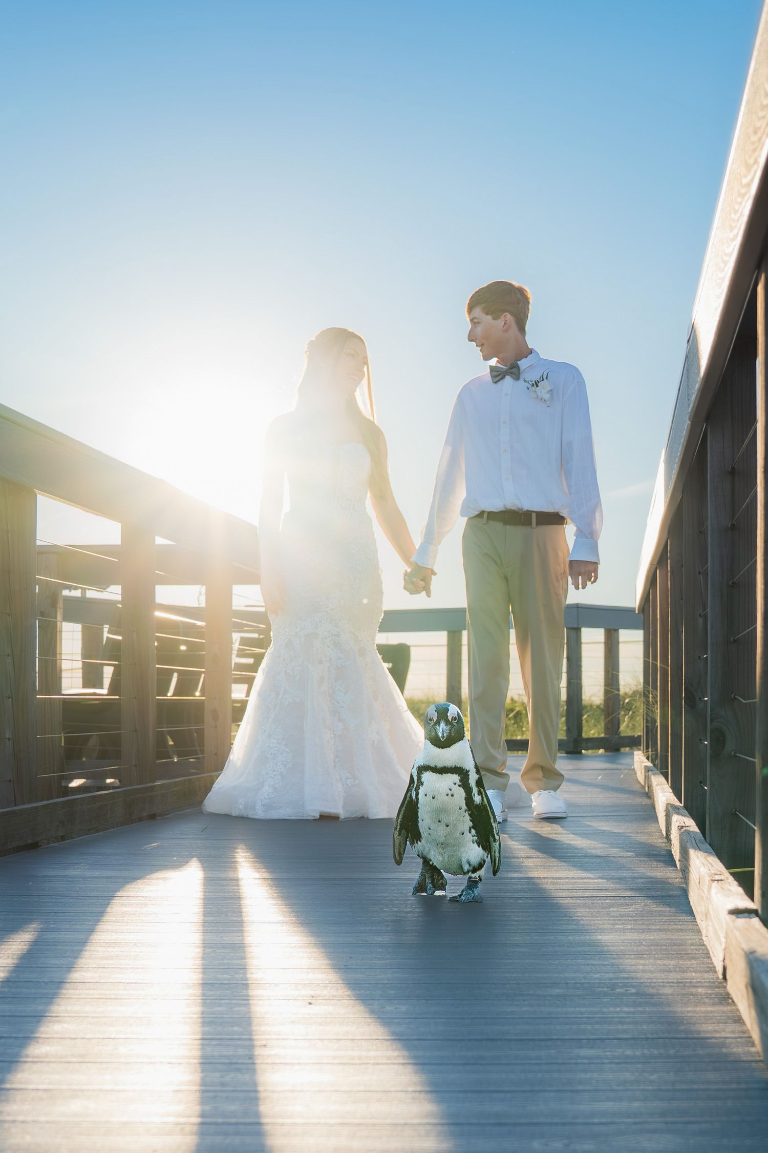Bride and groom holding hands on a sunlit wooden bridge, with a small dog in a tuxedo outfit at their feet.