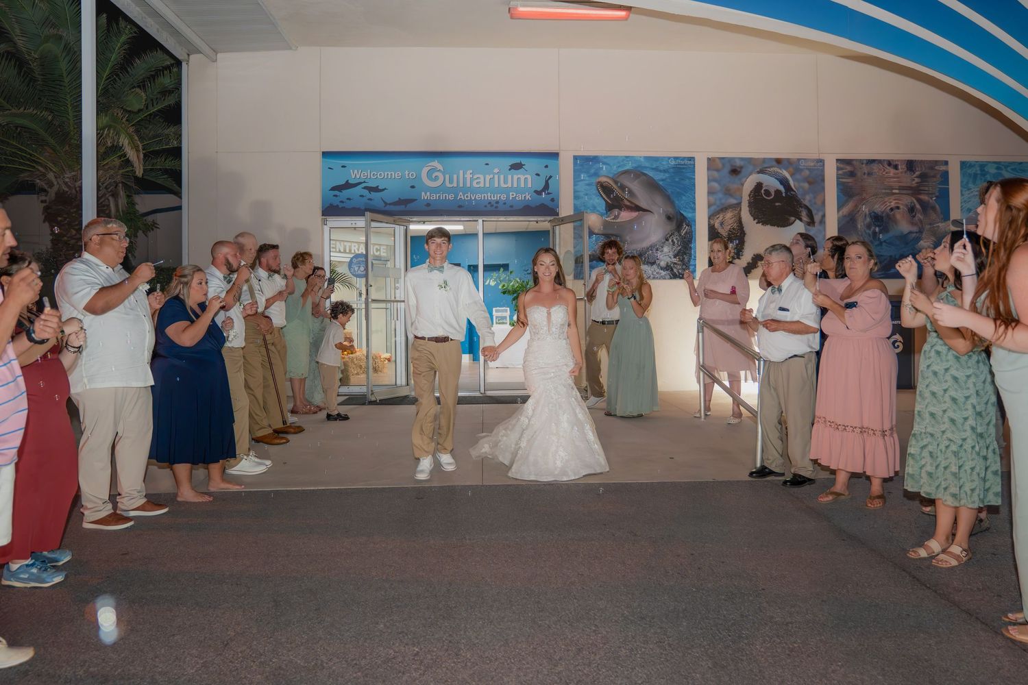 Wedding couple makes grand entrance as guests cheer outside aquarium venue at night.
