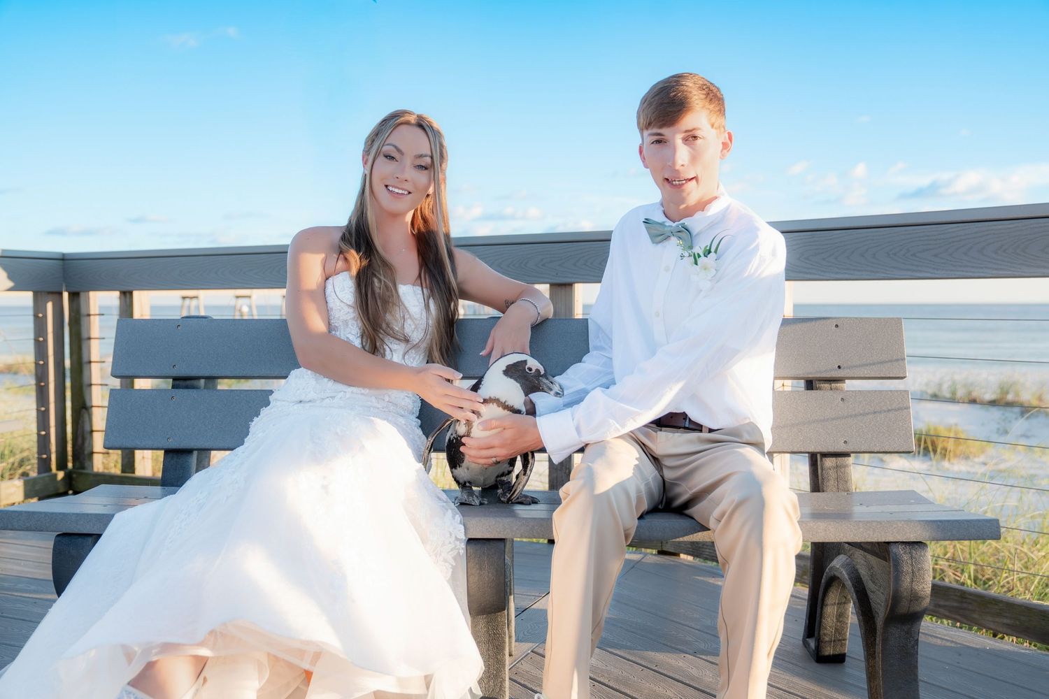 Bride and groom sitting on wooden bench outdoors near beach with small dog on wedding day.