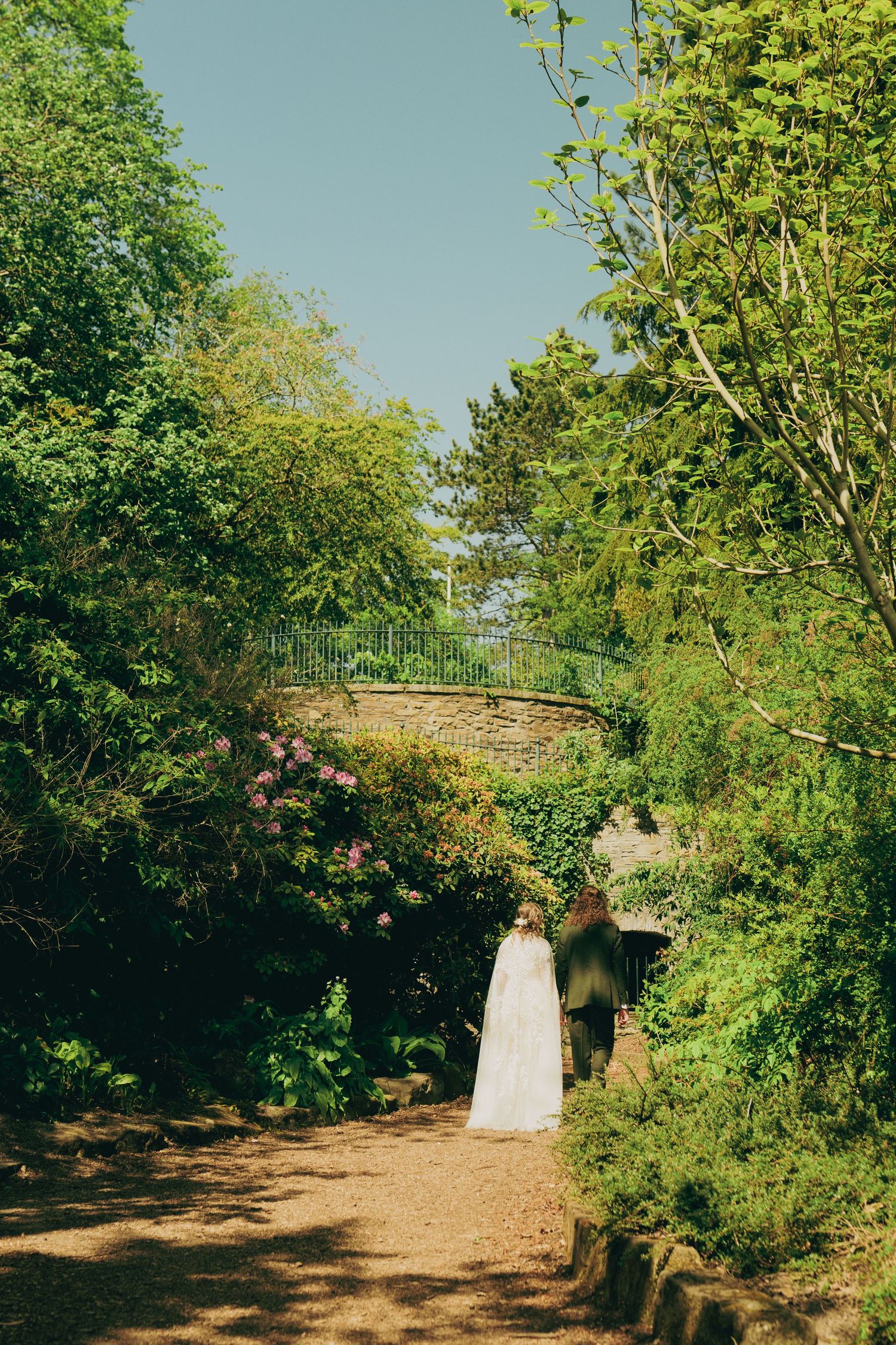 couple in trees
