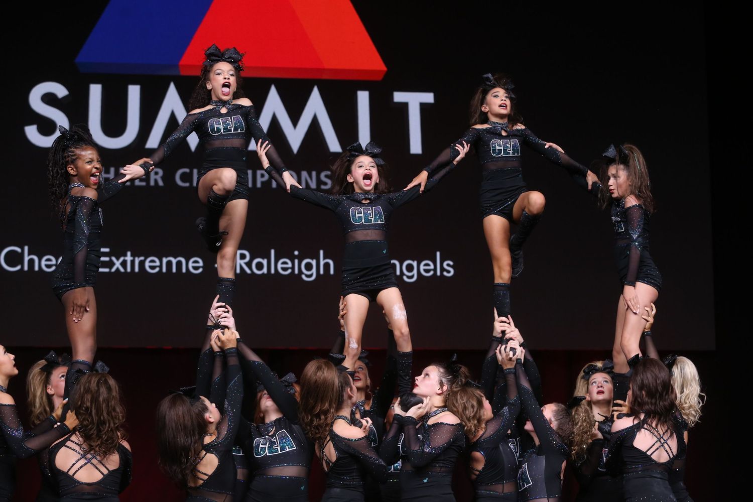CEA ANGELS