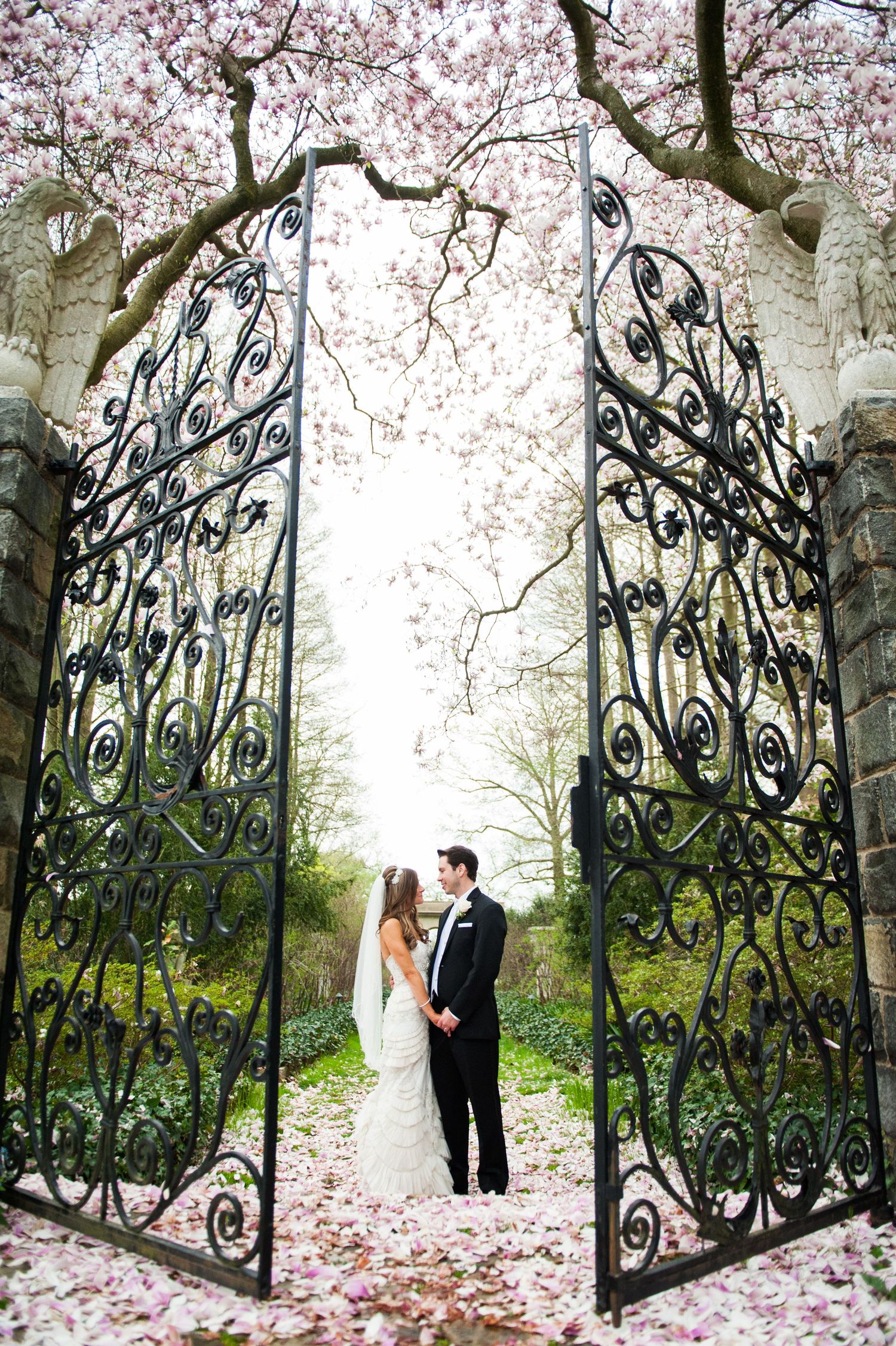 Springtime wedding in Philadelphia with cherry blossoms