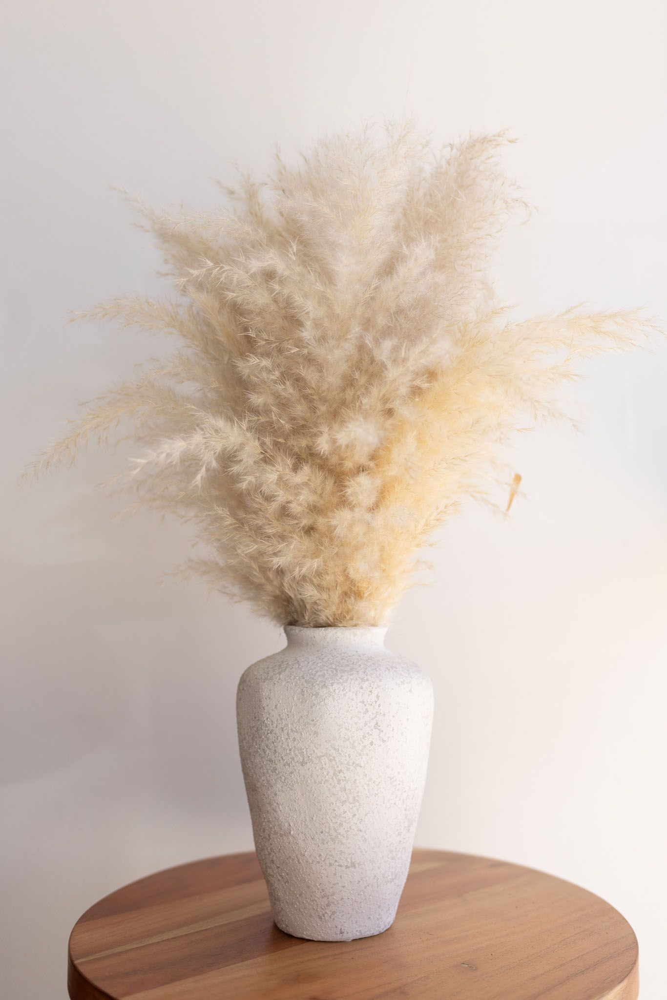 White ceramic vase filled with fluffy dried pampas grass sits elegantly on a wooden surface against a light background.