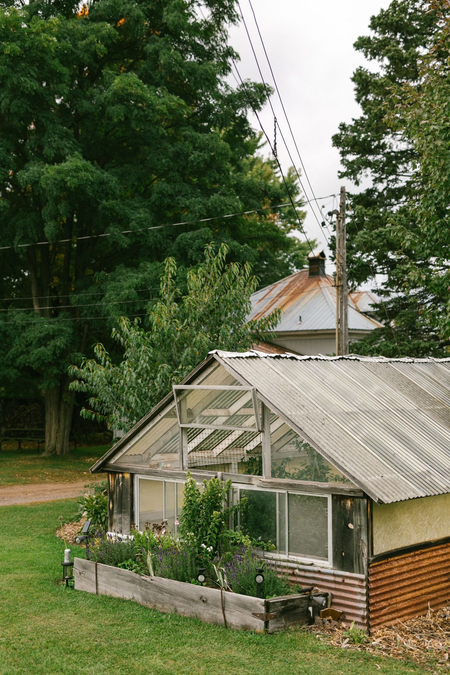 A rustic greenhouse with glass panels and wooden frame sits nestled among green trees in a residential backyard.