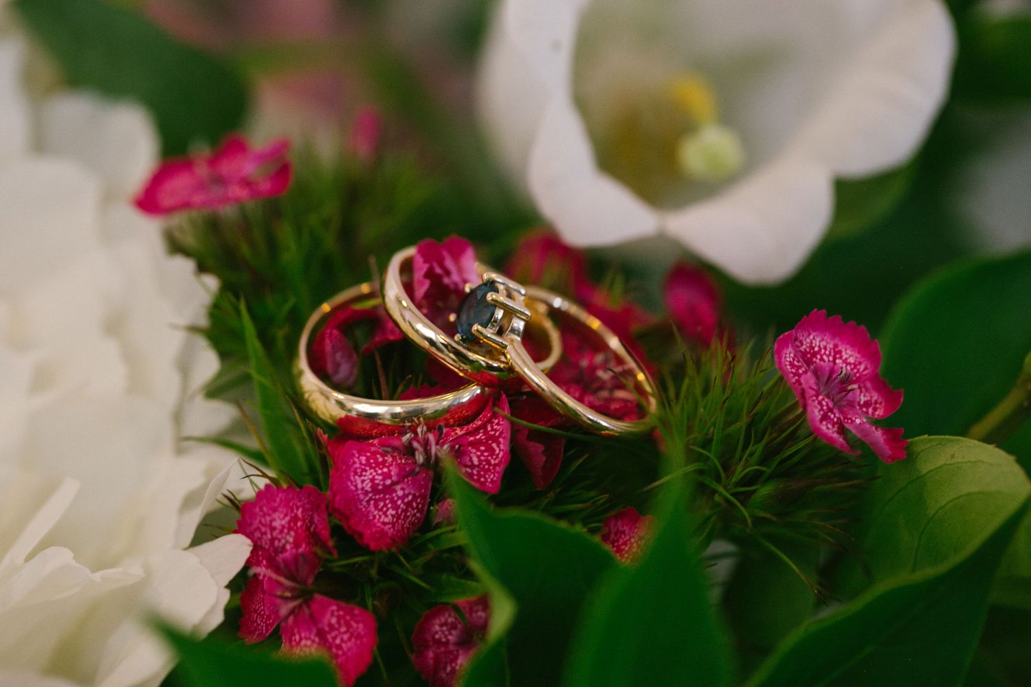 Wedding rings nestled among pink and white flowers with lush green foliage in a romantic macro shot.