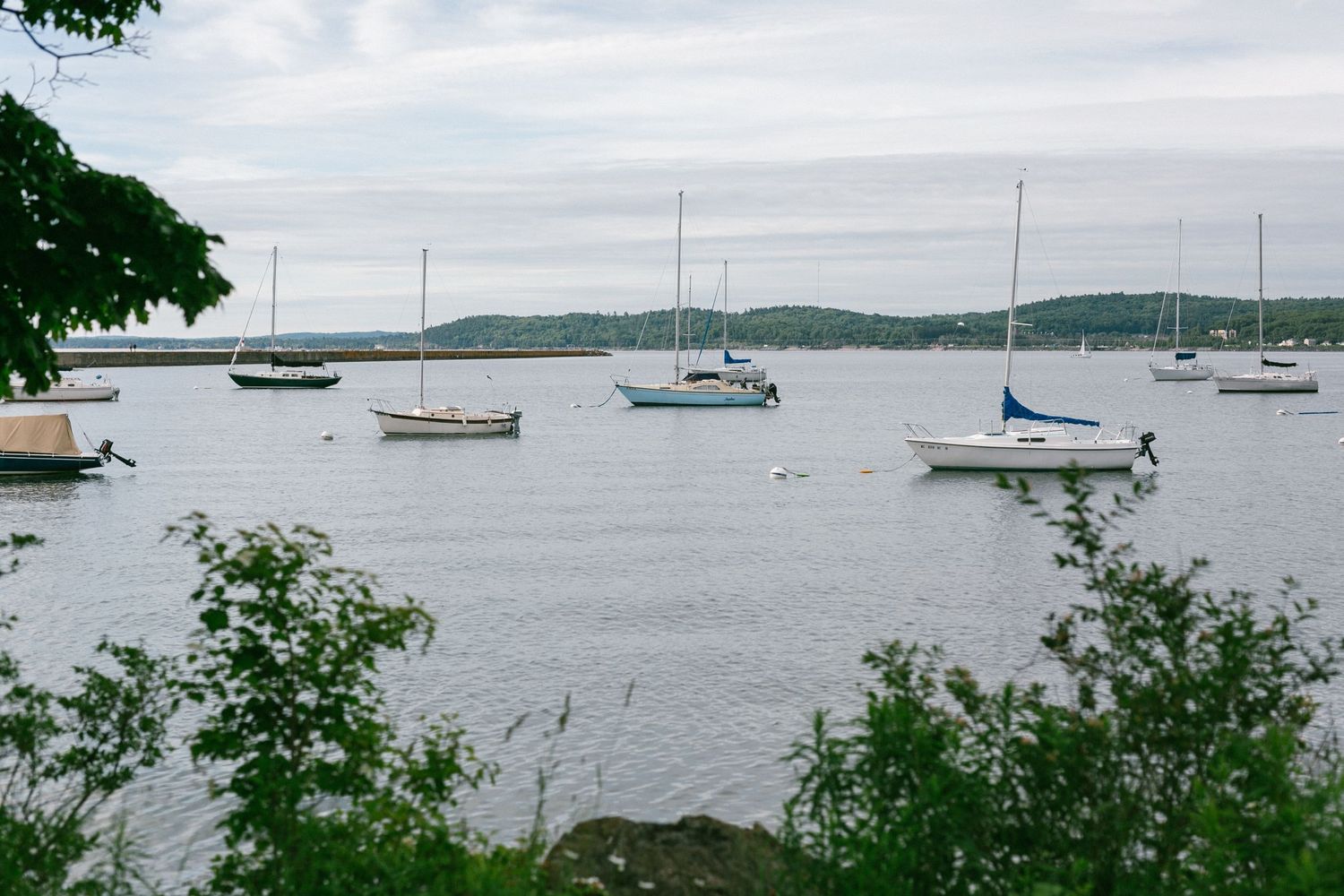 Several sailboats anchored in a calm harbor with green trees framing the coastal view and hills in the distance.