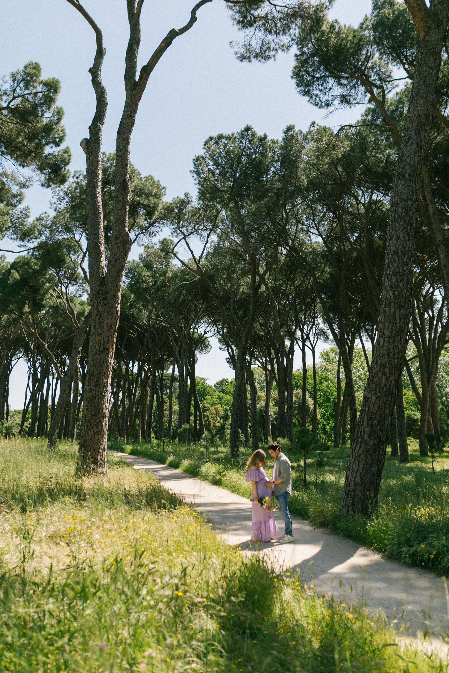 Couple with child strolling on scenic path surrounded by tall pine trees in sunny park.