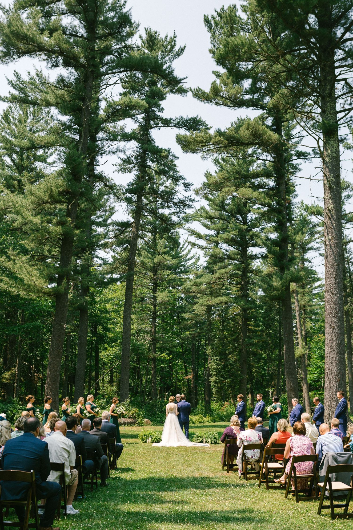 An outdoor wedding ceremony takes place in a serene pine forest setting with guests seated on dark wooden chairs.