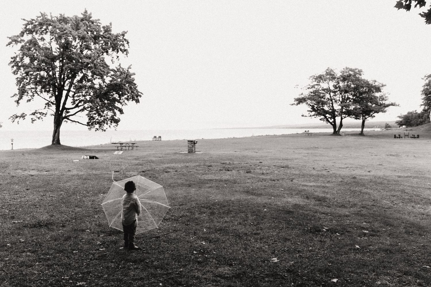 A silhouette holding an umbrella stands in a misty field with scattered trees.