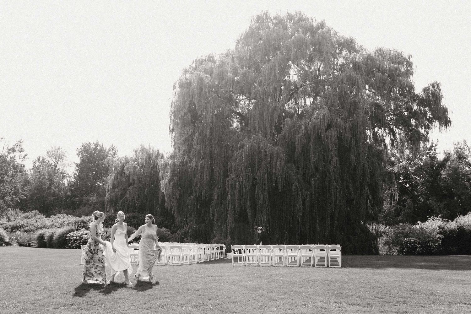 A bride walks with her bridesmaids in the sun in front of the grand willow tree where she'll get married.
