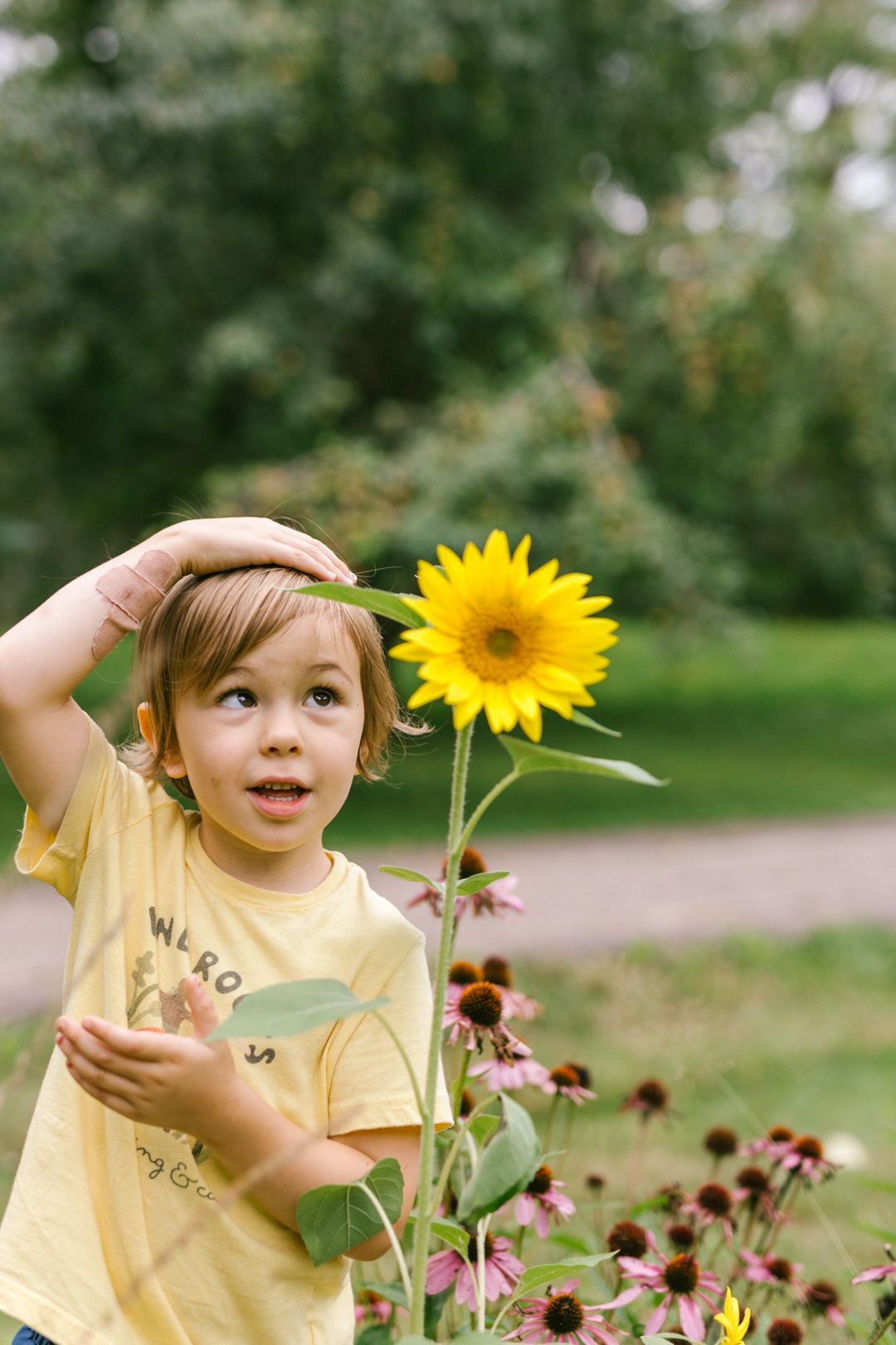 A young child in a yellow shirt stands next to a bright sunflower in a garden, looking up curiously.
