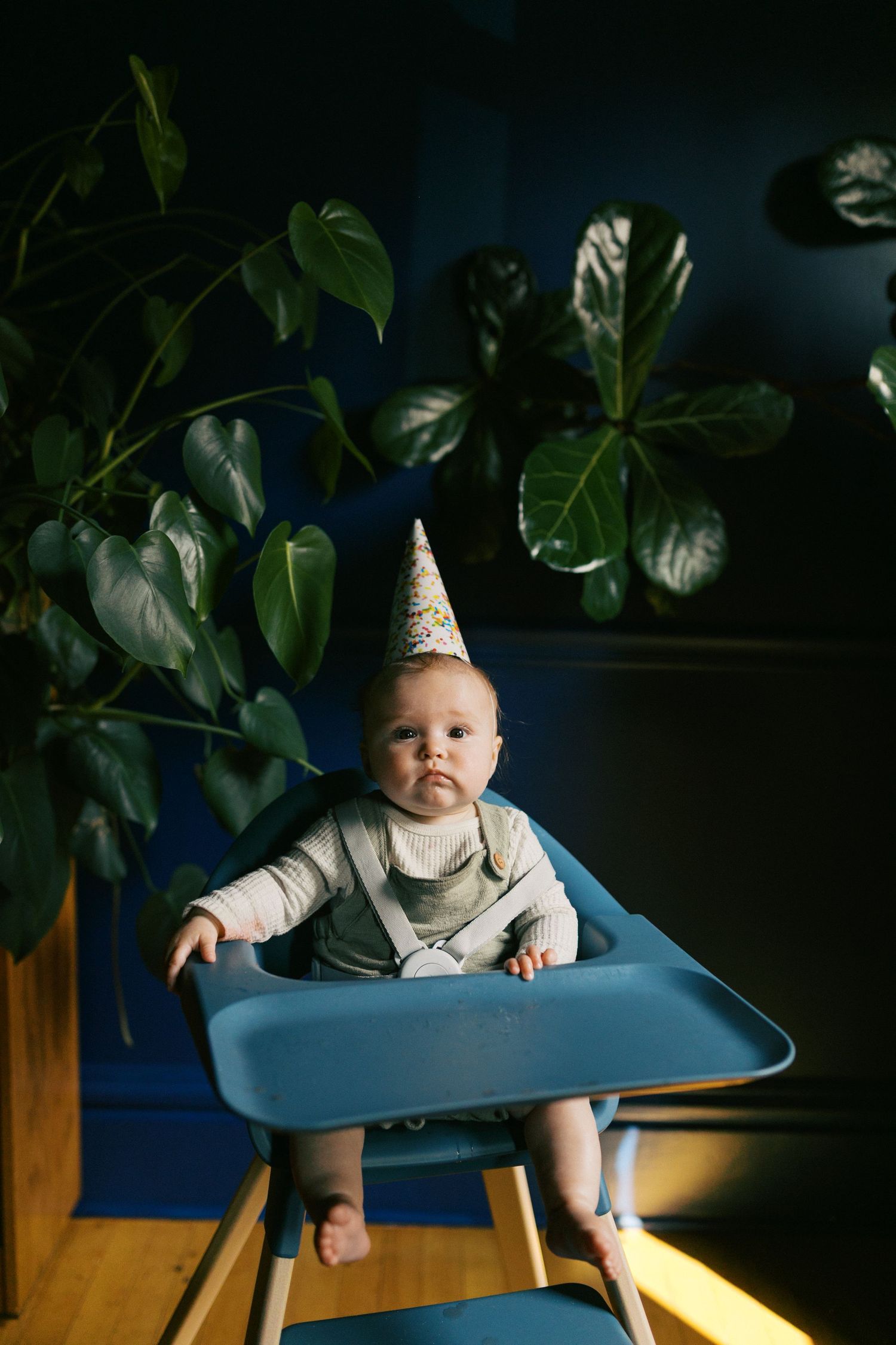 Adorable baby wearing a party hat sitting in a blue high chair surrounded by green plants.