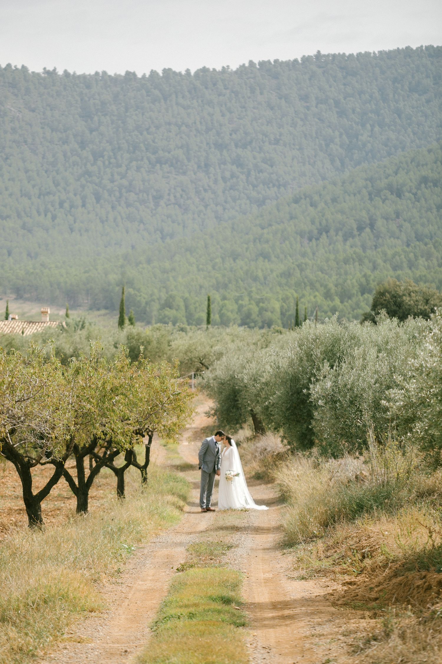A couple walking along a rustic dirt path surrounded by olive trees and cypress trees in a Mediterranean landscape in Spain wedding.
