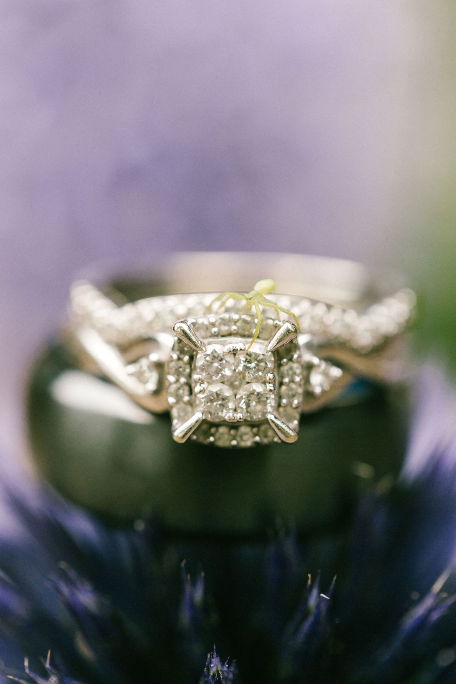 A diamond halo engagement ring and a black wedding band rest together against a soft purple background.