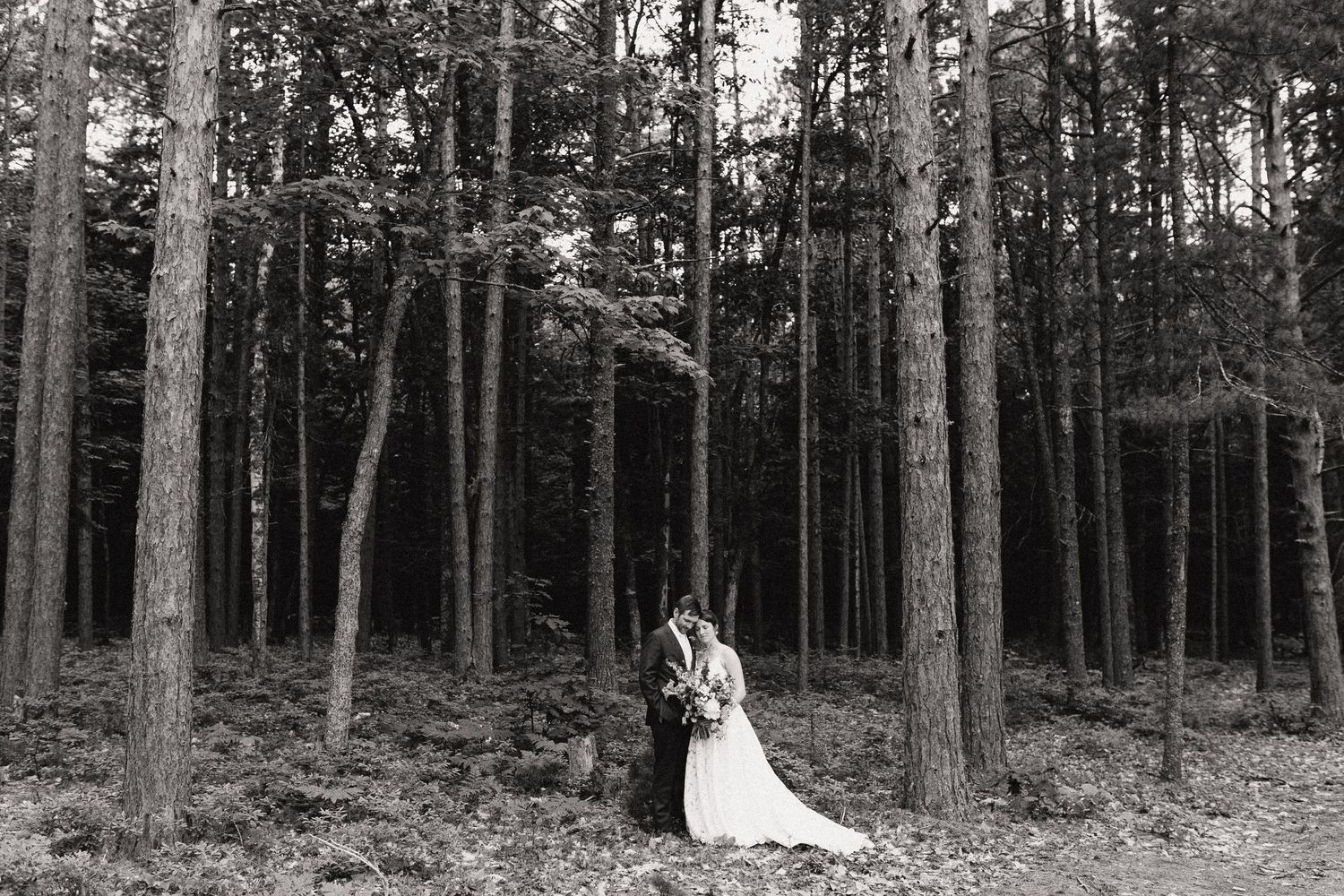 A romantic black and white photo showing two people embracing among tall pine trees in a forest setting.
