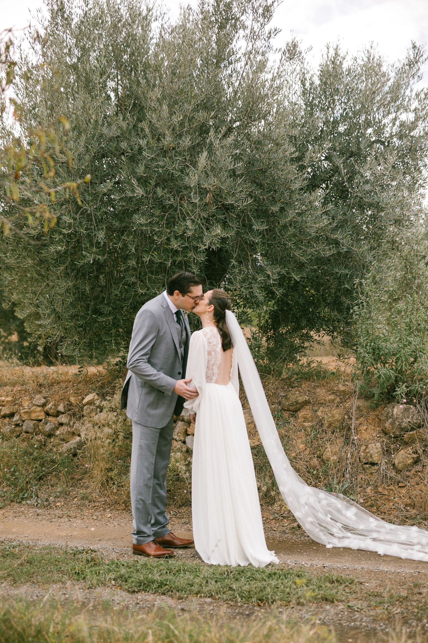 Una romántica pareja de novios comparte un beso en un olivar, con la novia luciendo un vaporoso vestido de encaje y un largo velo.