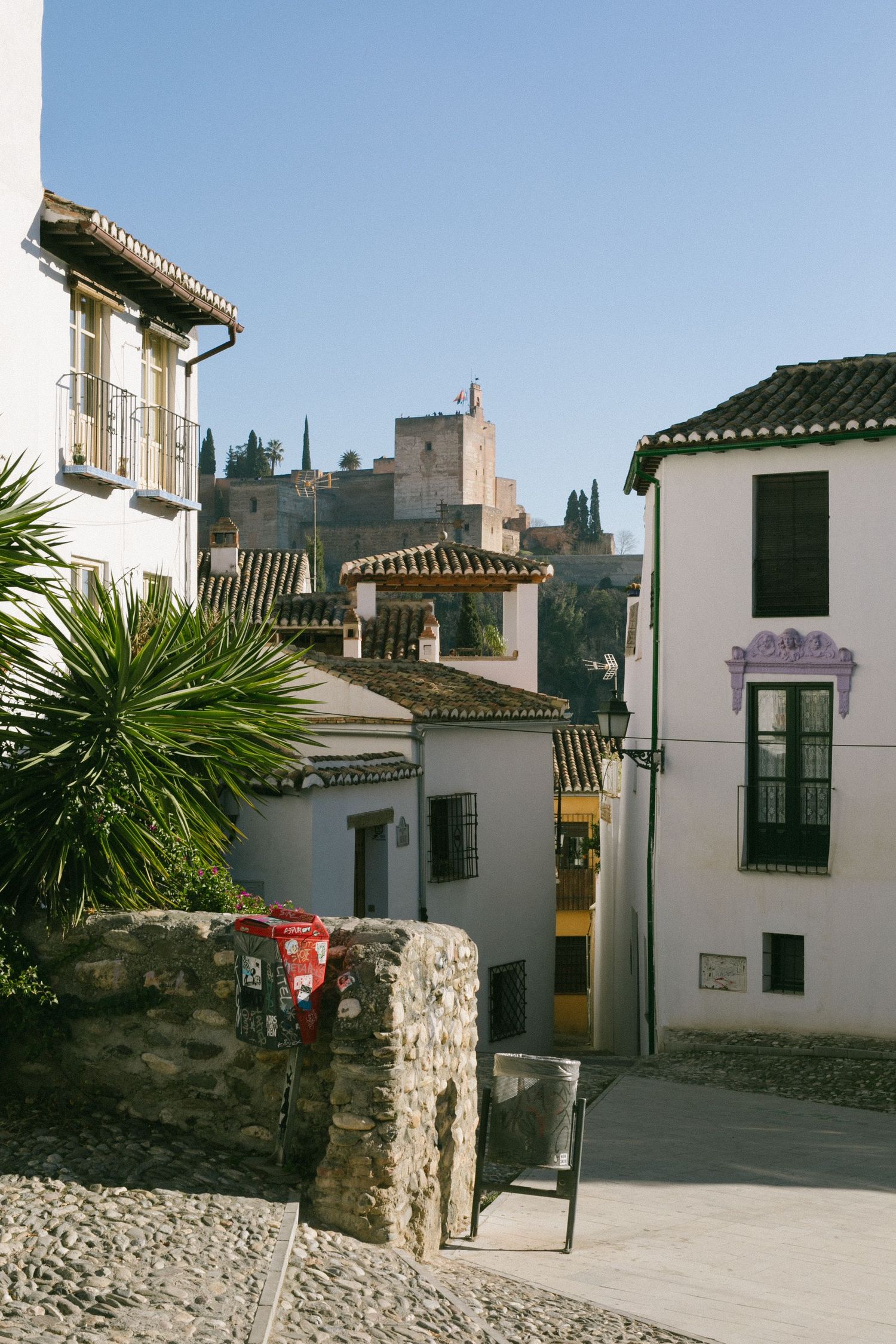 Narrow cobblestone street in historic Spanish neighborhood with white buildings and palm trees.