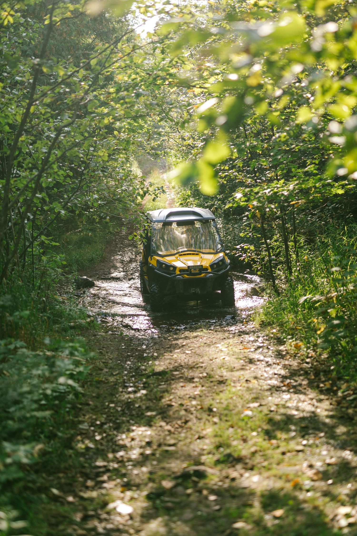 Yellow and black ATV driving on a narrow forest trail surrounded by lush green foliage in natural sunlight.