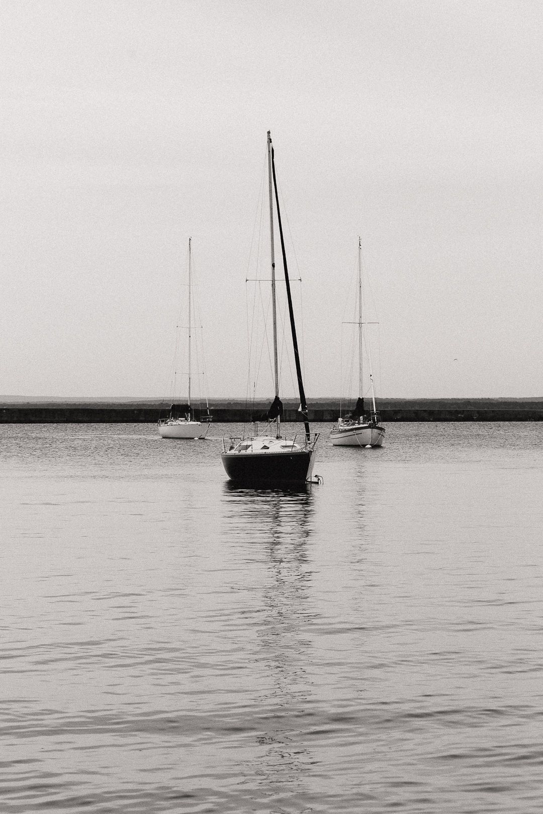 Sailboats moored in calm harbor waters, minimalist black and white seascape photography.