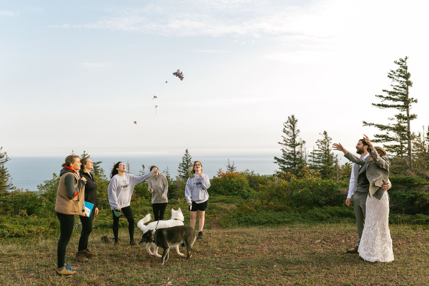 Wedding party celebrates outdoors on a hilltop overlooking the ocean as birds fly overhead.