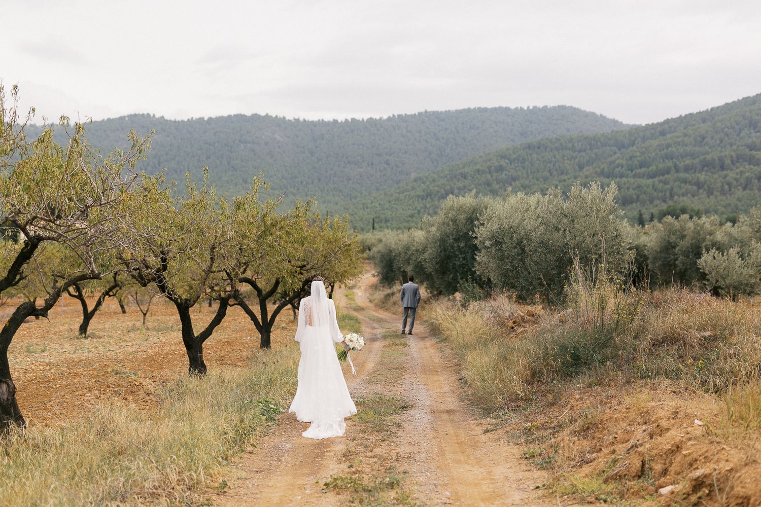 Bride and groom walking along a dirt path through olive trees with mountains beyond.