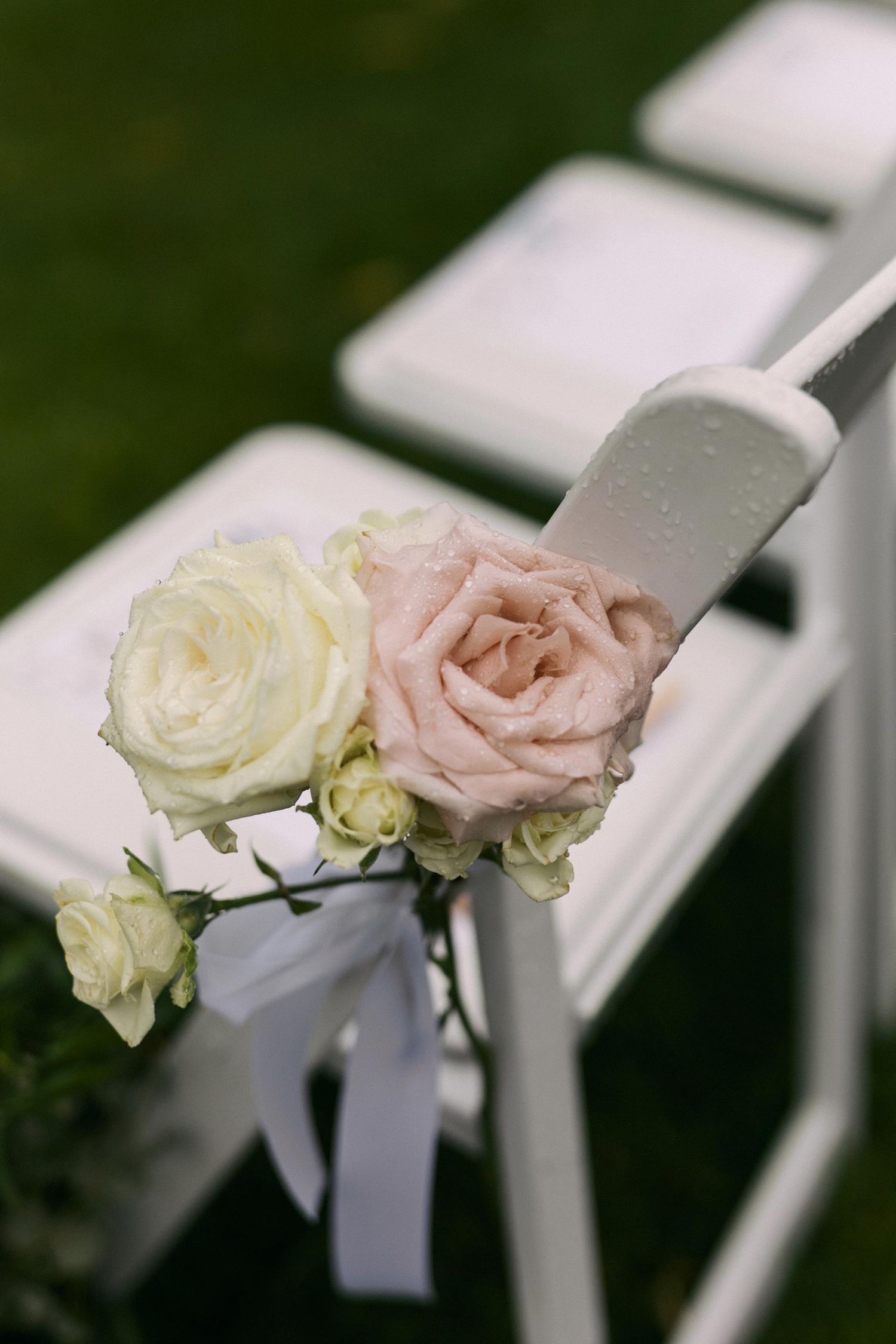 White and blush pink roses adorn white chairs in a row, creating an elegant wedding ceremony decoration.