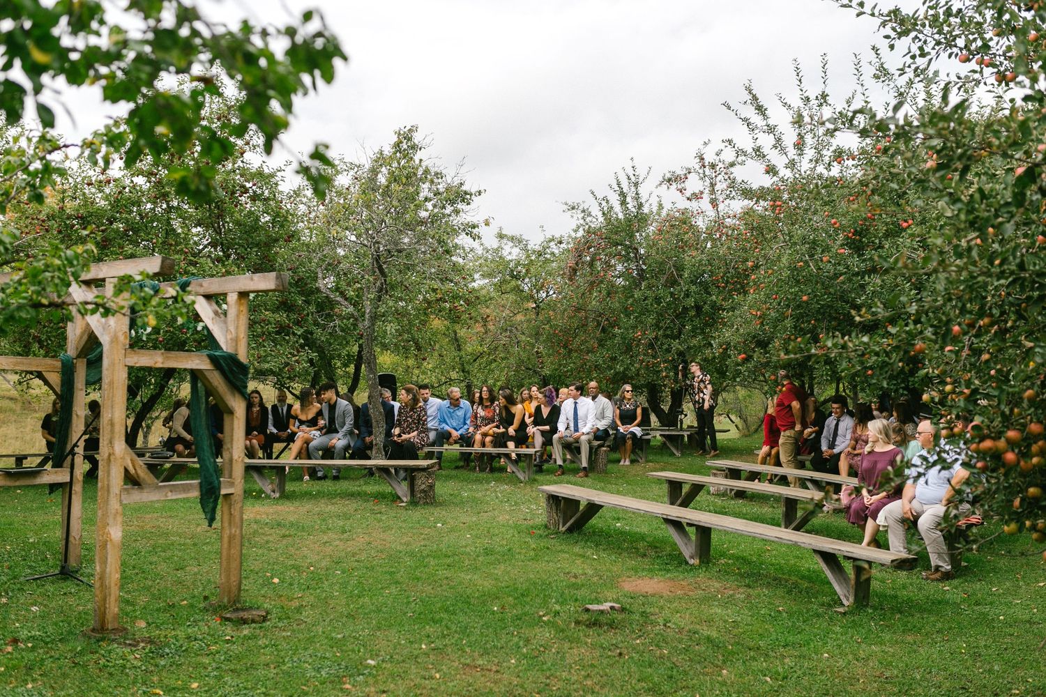 People gather in a scenic apple orchard with wooden benches and posts during an outdoor event.