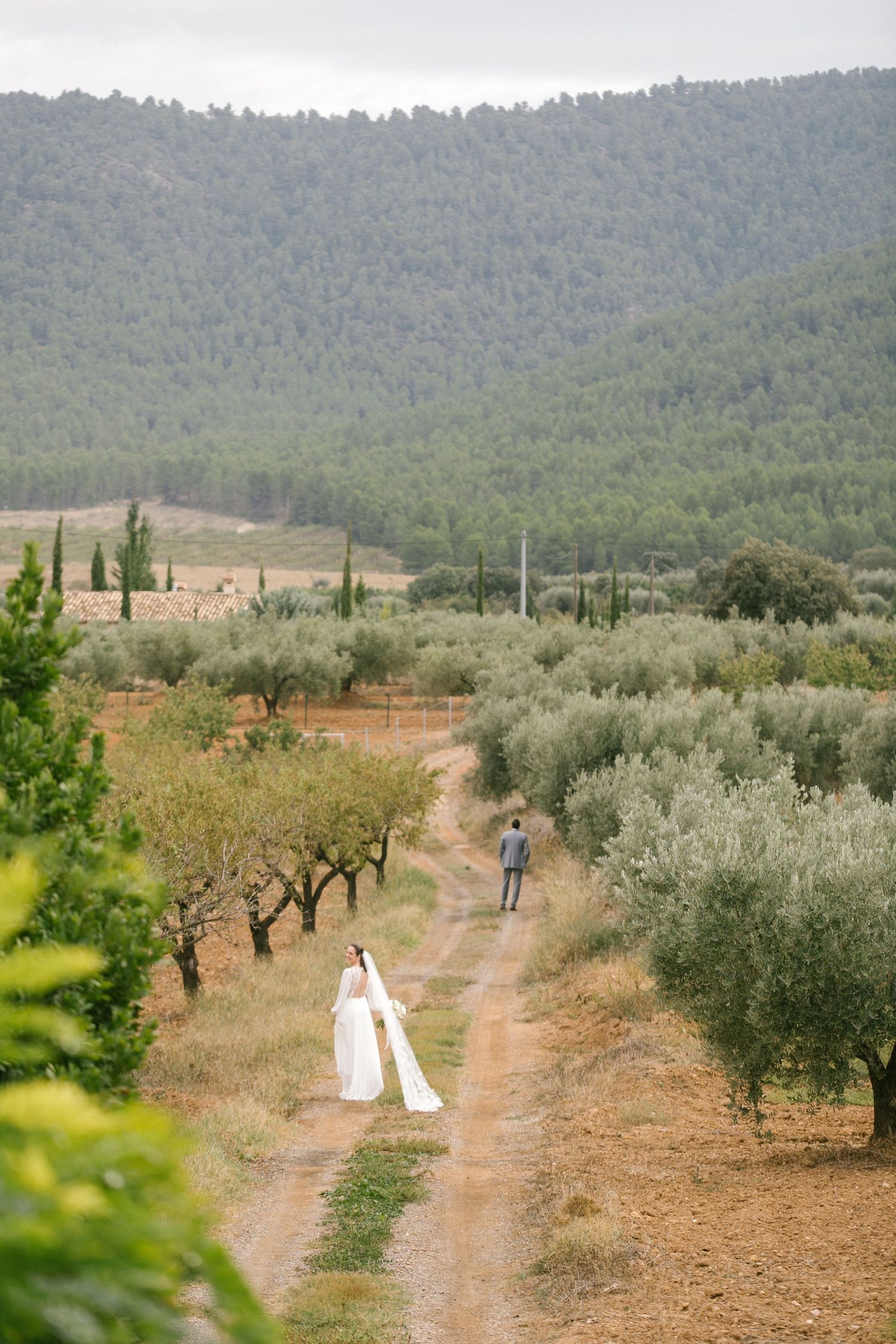 A bride walks to meet her groom on scenic dirt path through an olive grove and cypress trees in the countryside with distant forested hills.