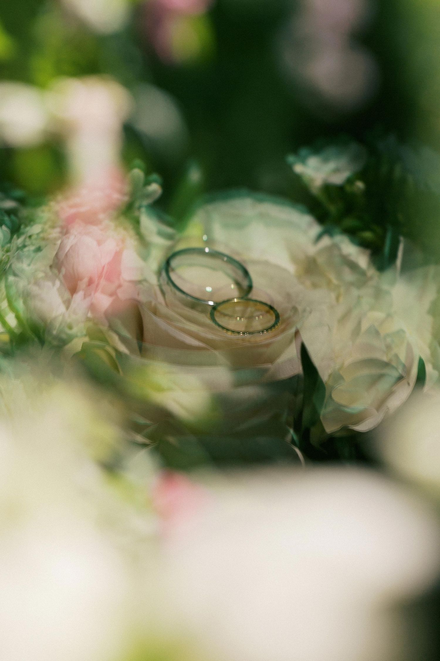 Two gold wedding rings nestled among soft pink and white roses with dreamy bokeh effect in the background.