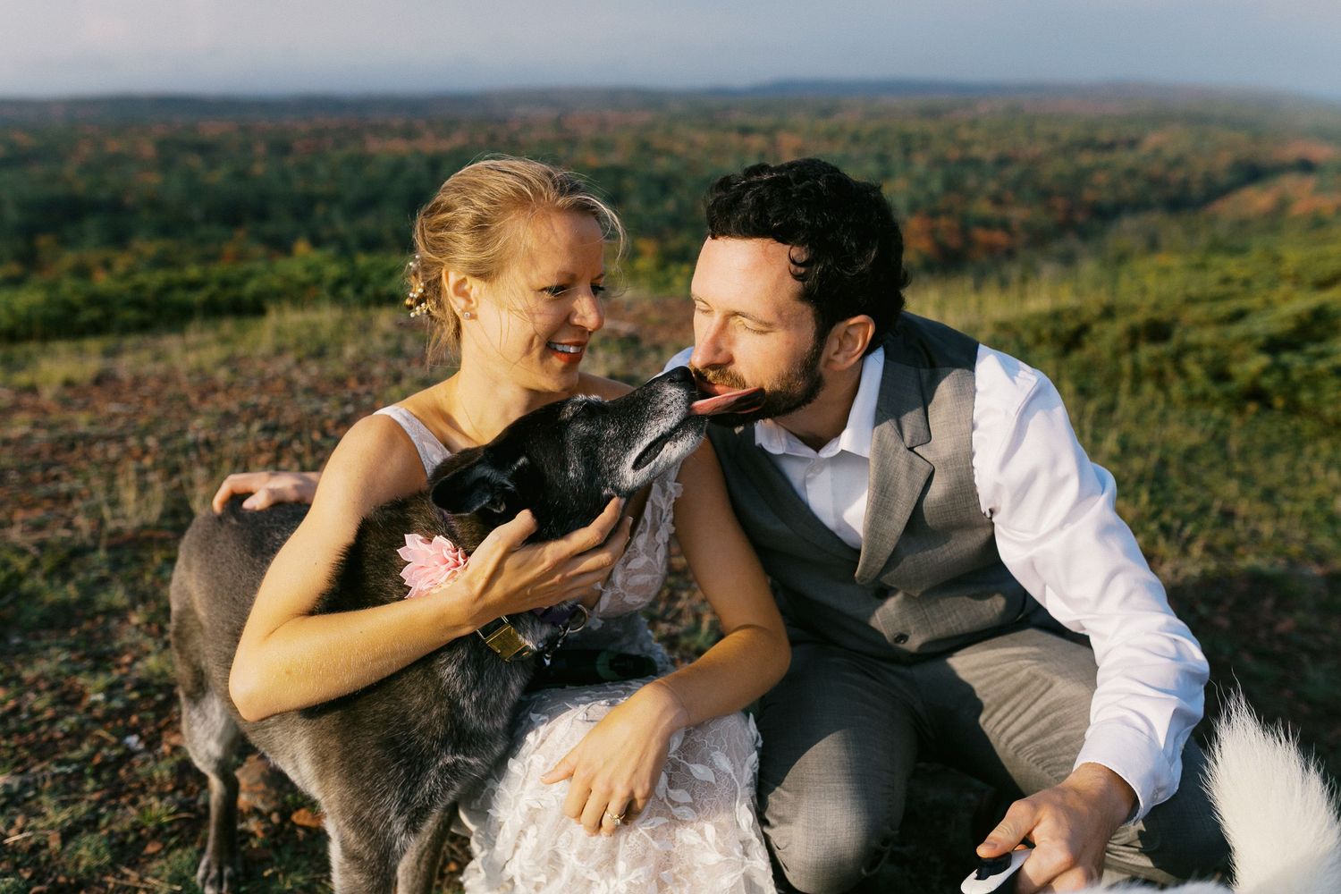 Smiling bride and groom crouching with their dog licking the groom's face outdoors.