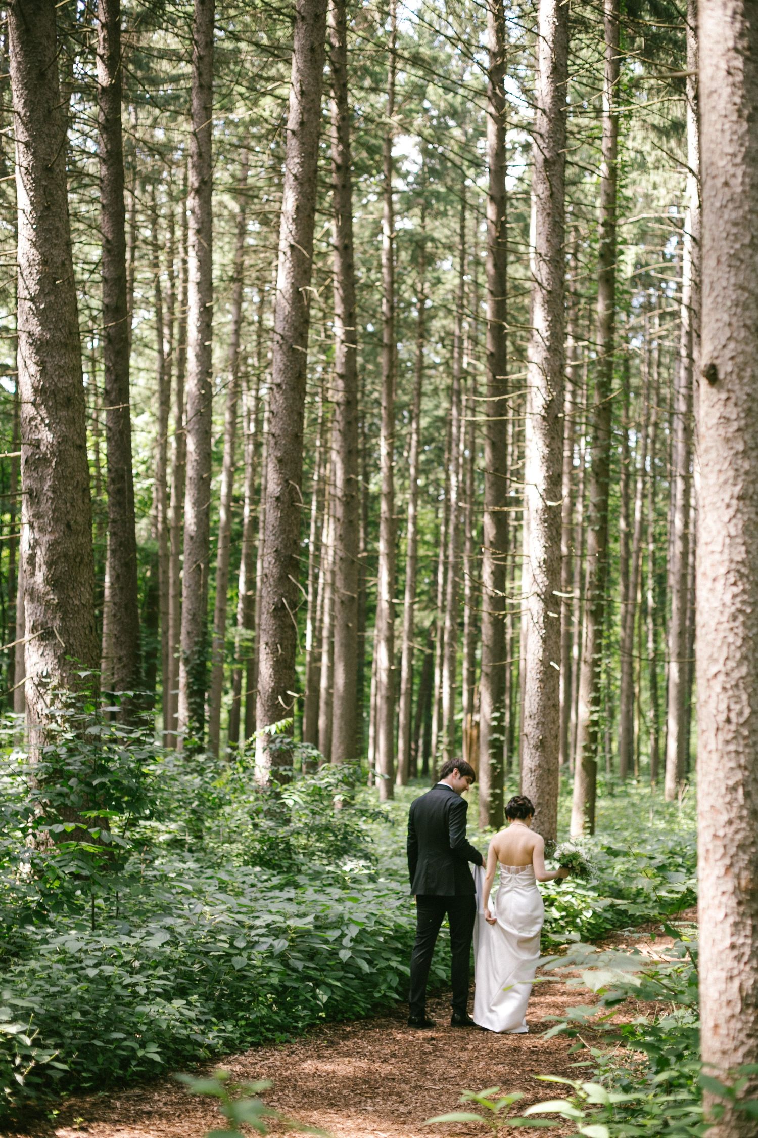 Bride and groom walking hand in hand along a serene forest path lined with tall pine trees.
