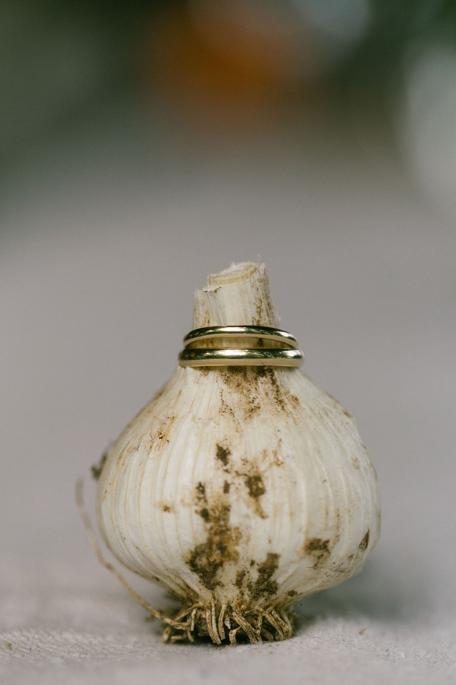 A single garlic bulb with a wedding ring placed on top in an artistic composition.