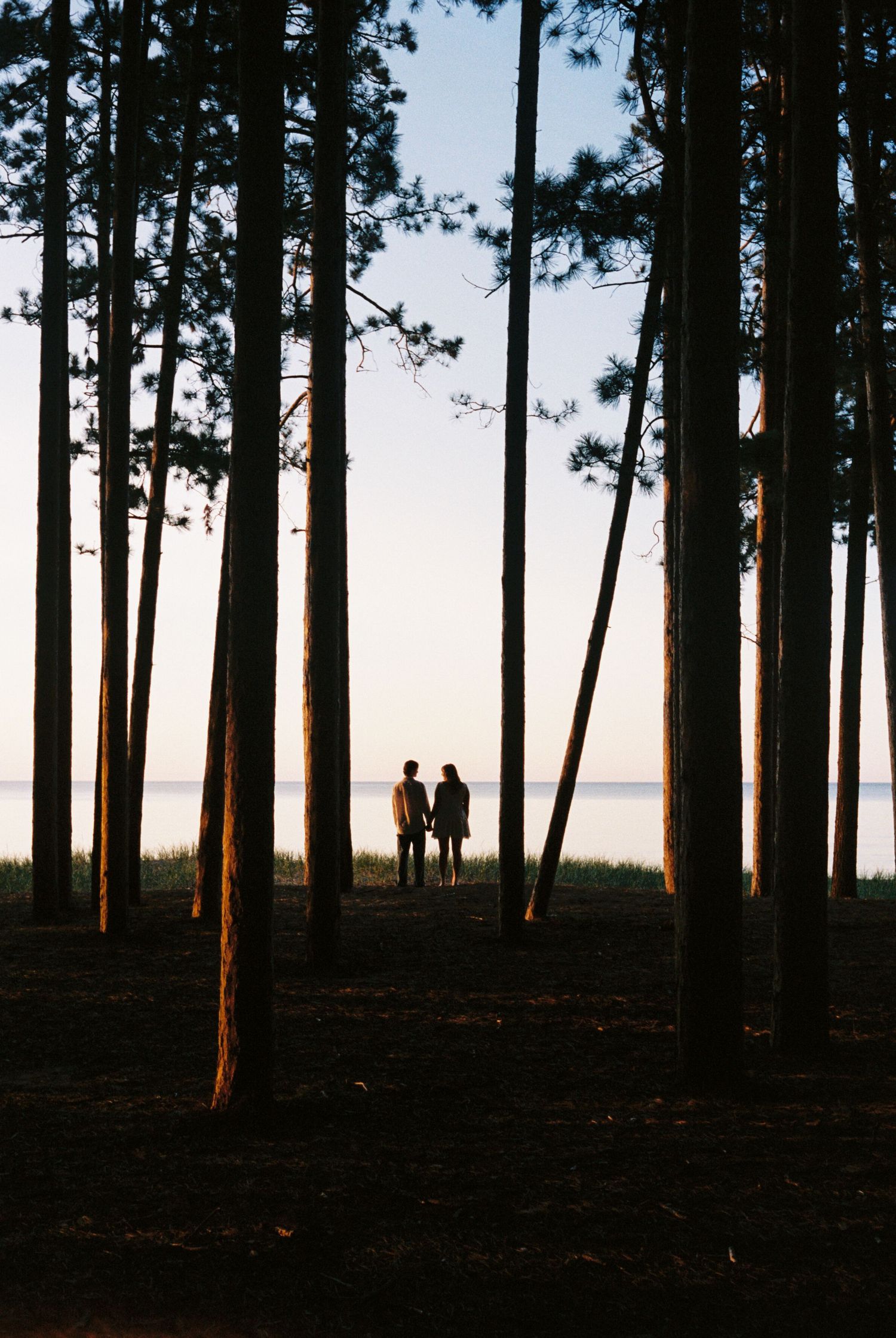 Silhouette of a couple holding hands among tall pine trees at sunset by a calm lake.
