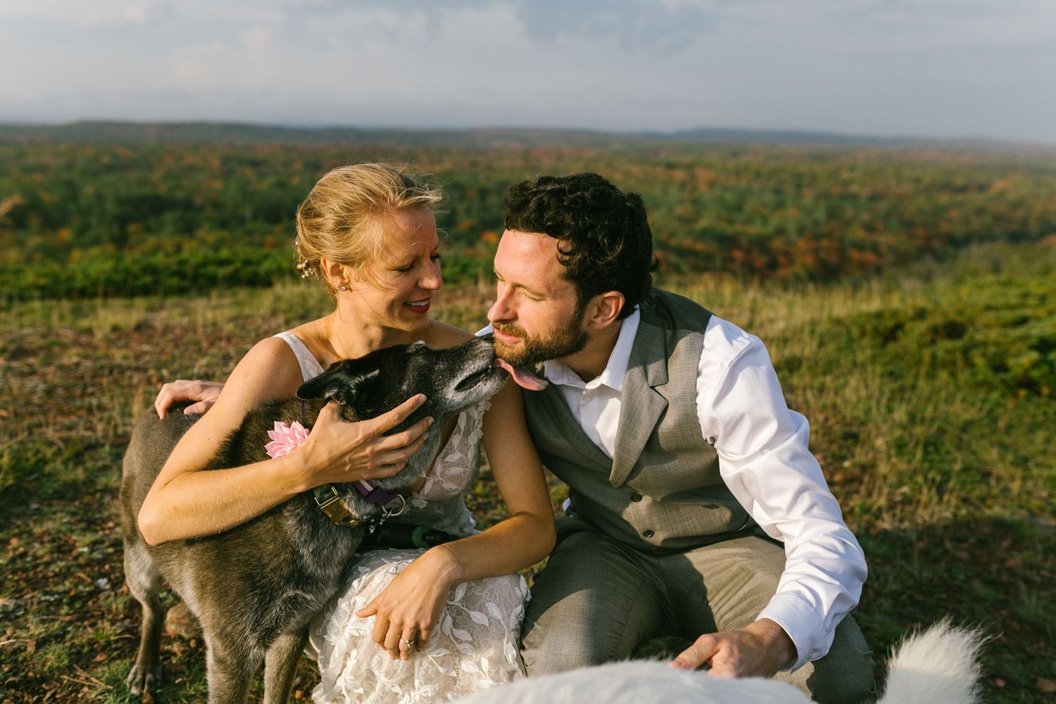 A couple shares a romantic moment on a hilltop while holding their small pet dog at sunset.