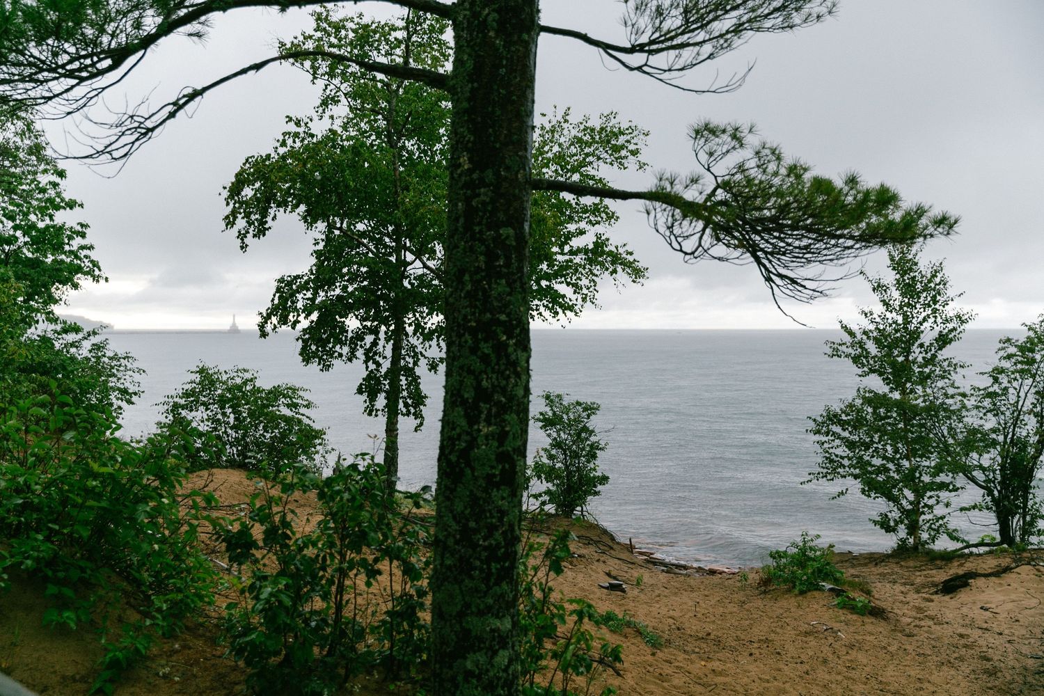 Coastal view through trees showing a misty ocean horizon and rocky shoreline.