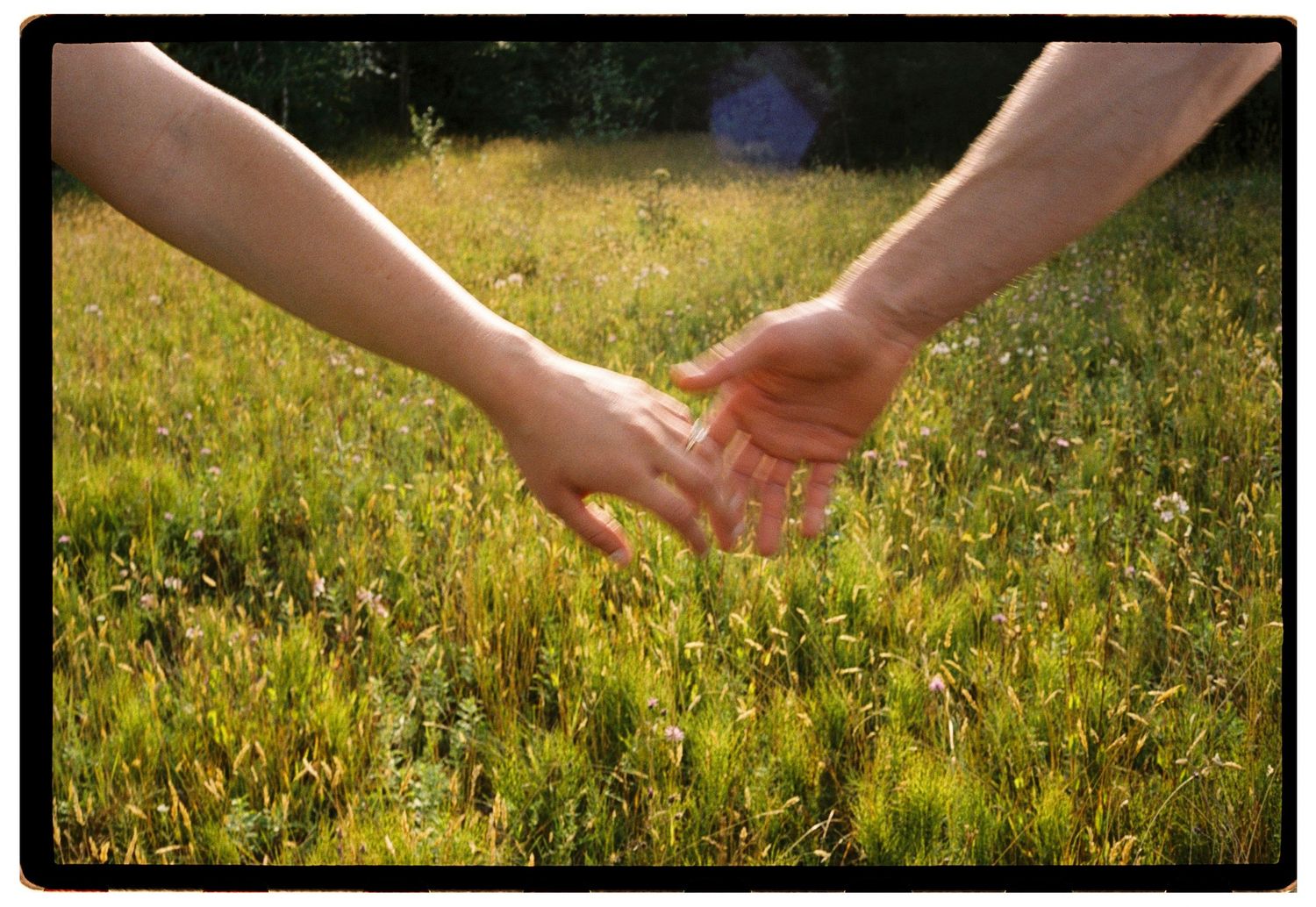 Couple holding hands in a sunlit green meadow field, romantic outdoor nature scene.