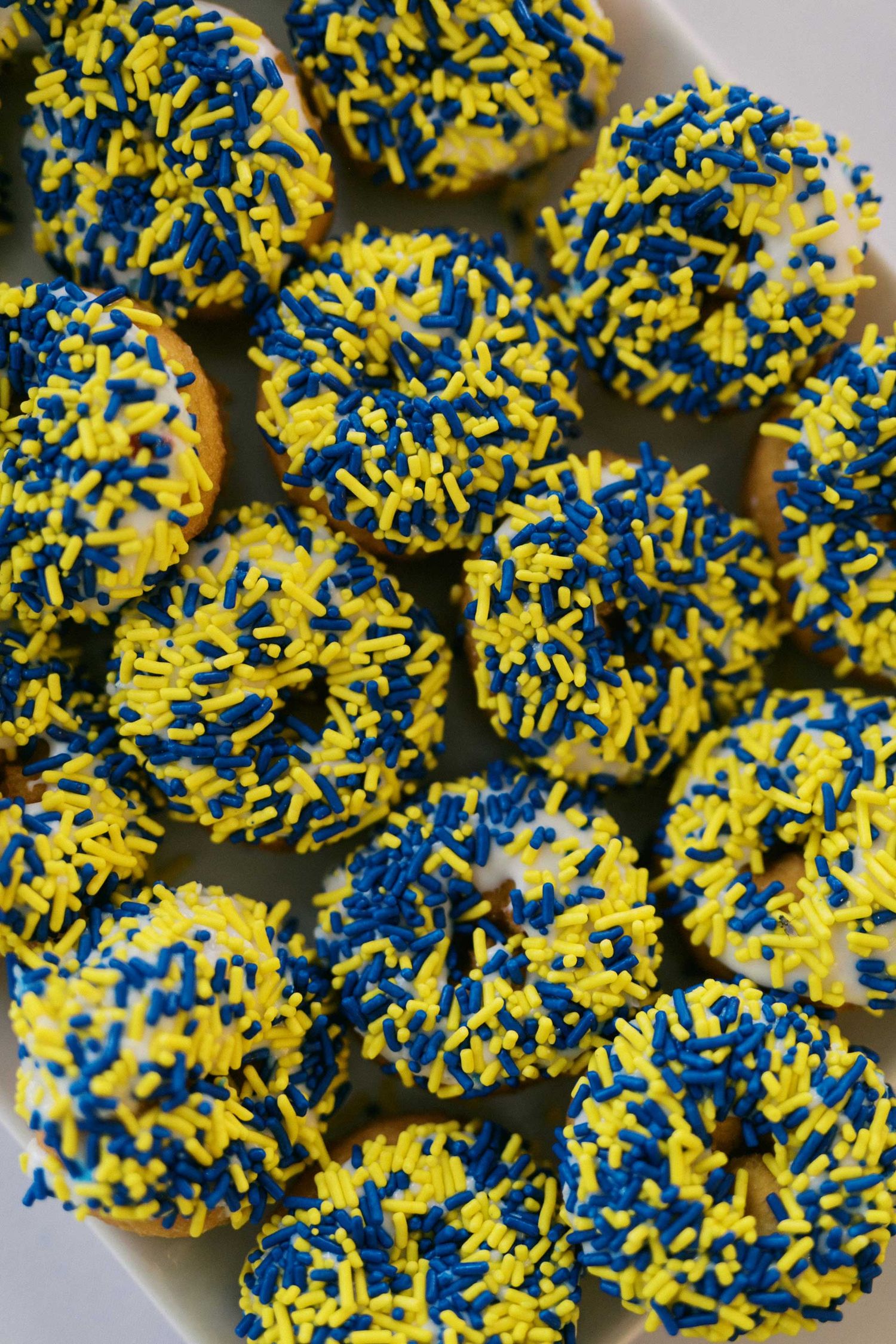 Cookies decorated with blue and yellow sprinkles arranged in a circular pattern on a white plate.