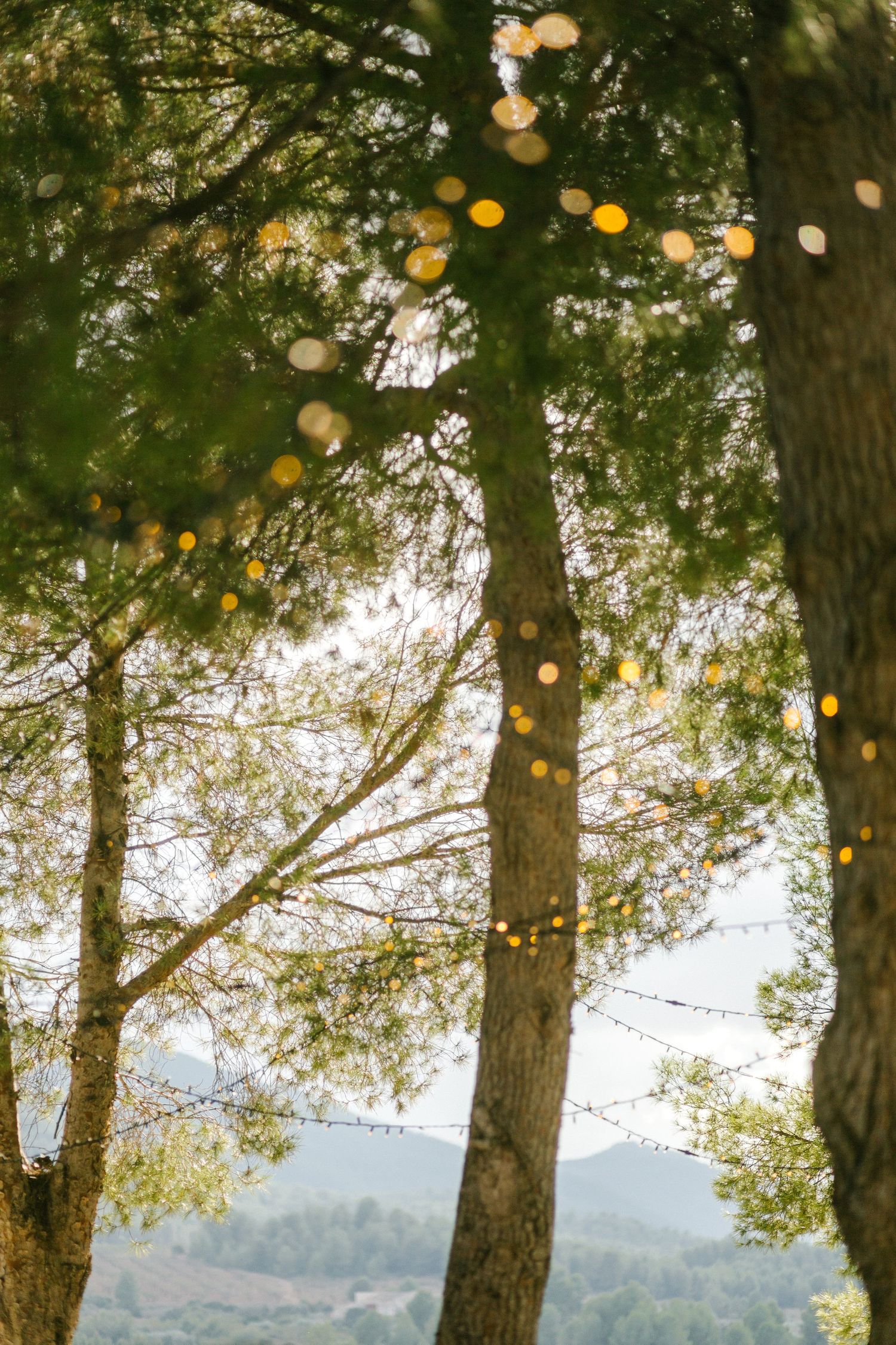 String lights and glowing bokeh illuminate pine trees against a misty mountain landscape at dusk.