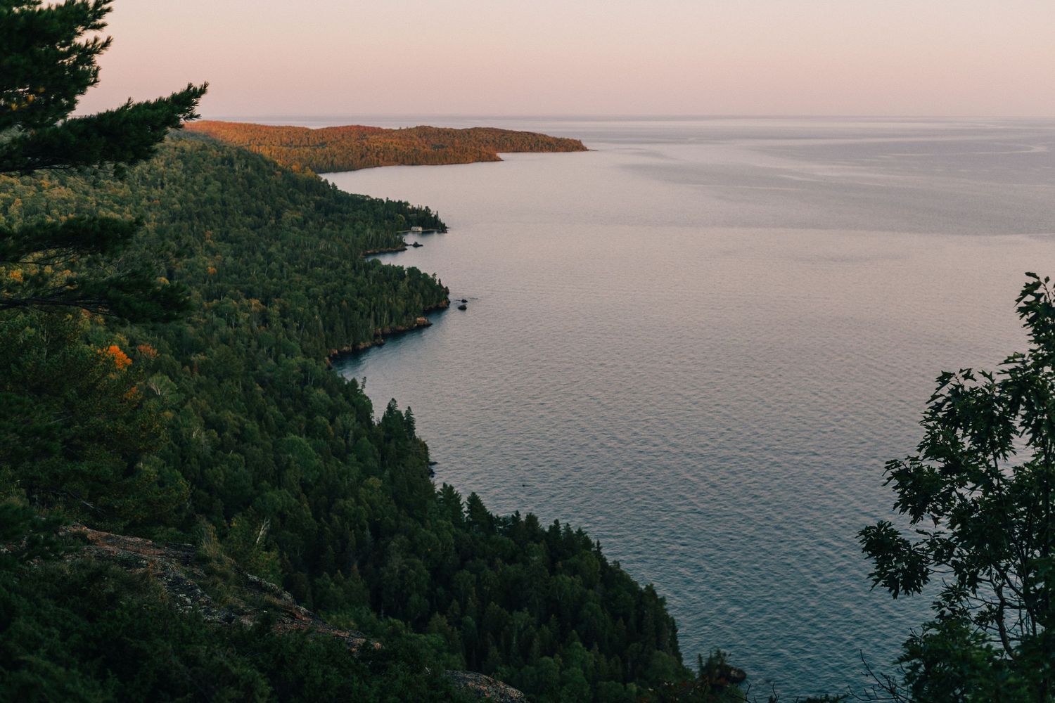 Aerial view of forested coastline along calm lake at sunset with pink sky.