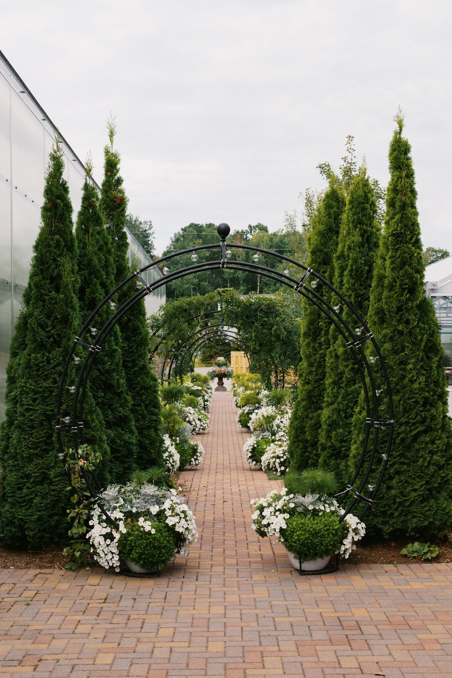 Elegant garden pathway with black metal arches, tall evergreen trees, and white flowering plants on brick walkway.