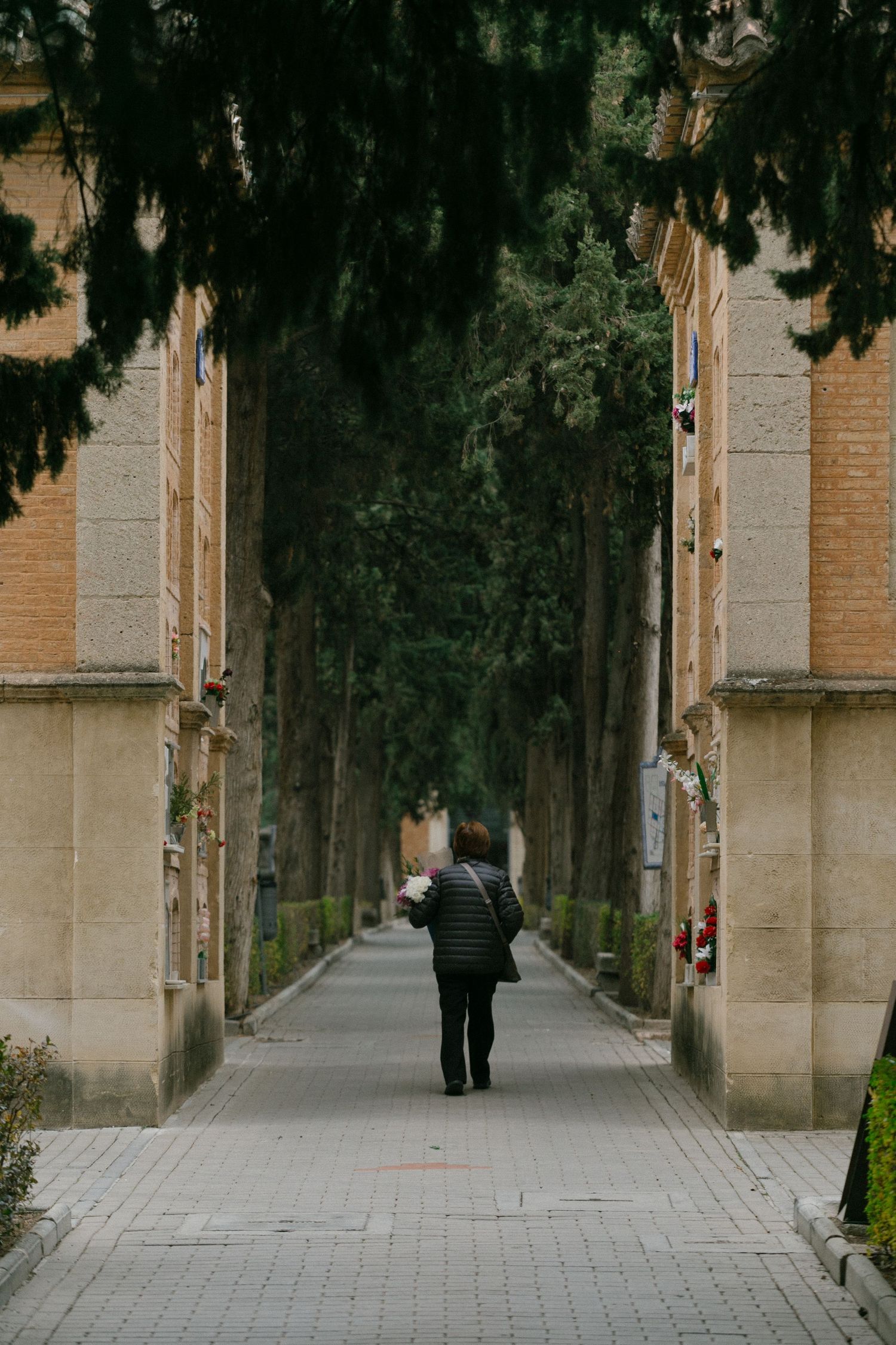 A solitary figure walks down a tree-lined symmetrical pathway between stone buildings.