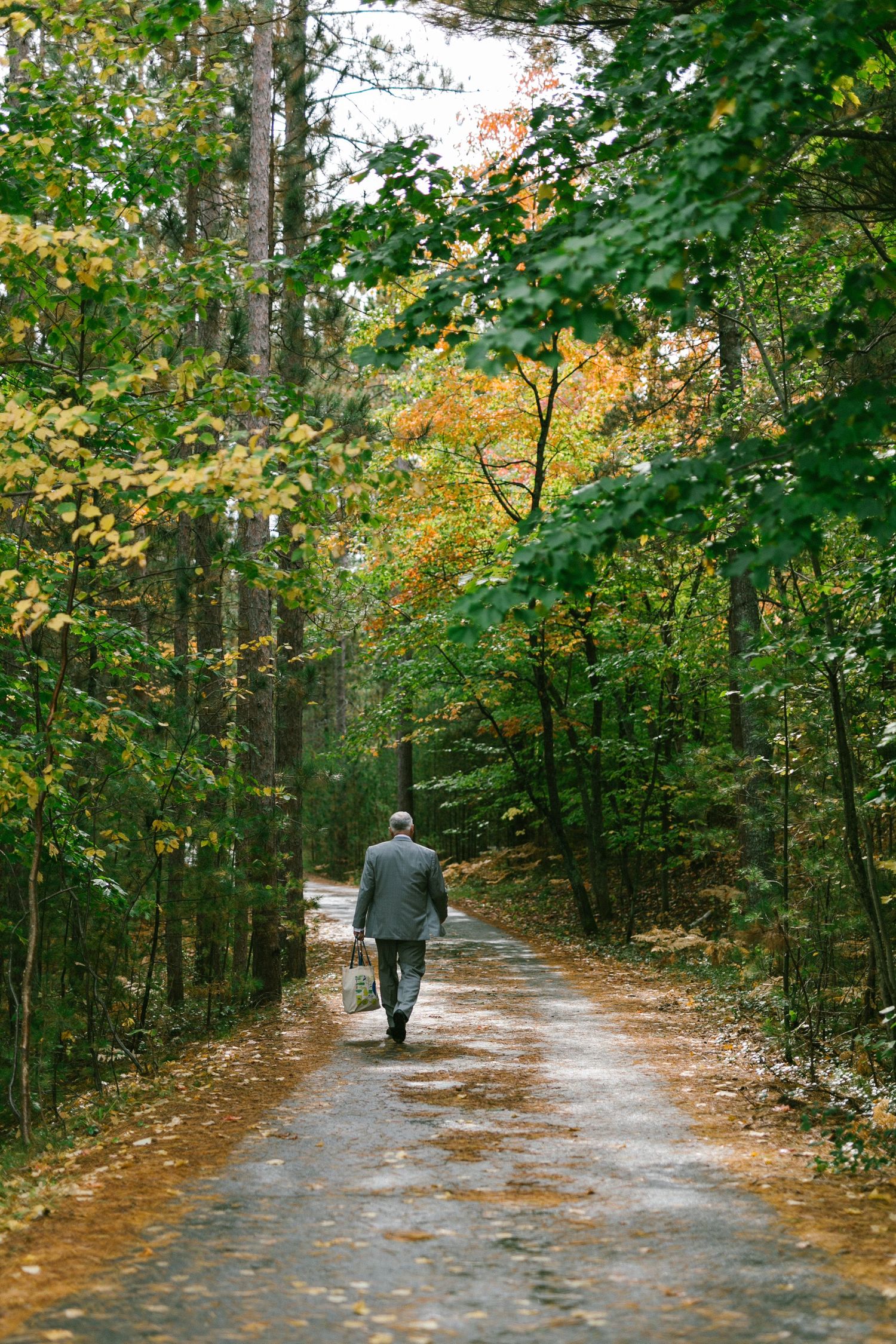 A person walks alone on a tree-lined path during autumn with golden foliage overhead and fallen leaves on the ground.