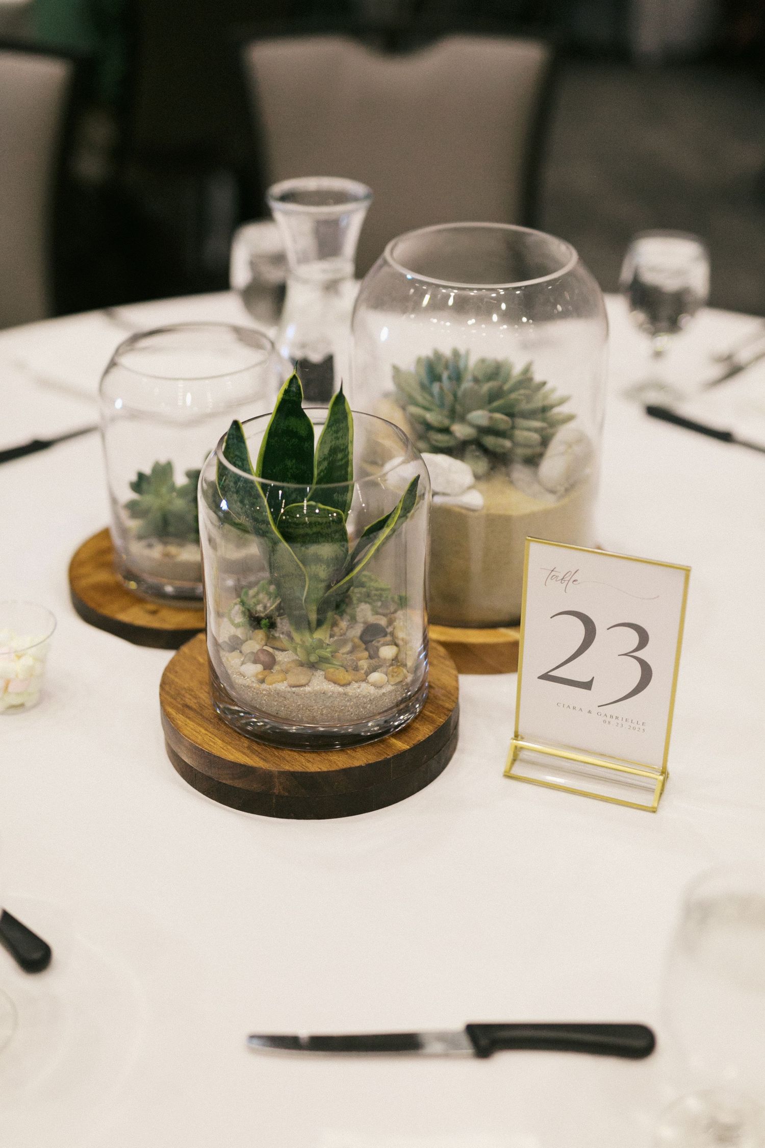 Elegant table centerpiece featuring succulent terrariums in glass domes with wooden bases and a gold table number 23.