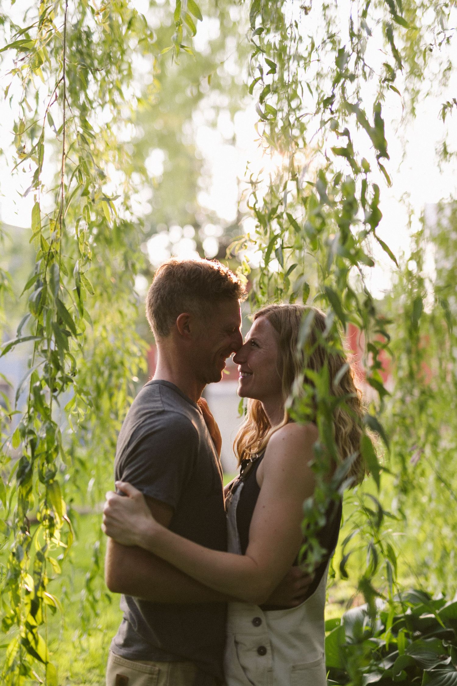 A romantic couple embraces under hanging willow branches in soft sunlight.