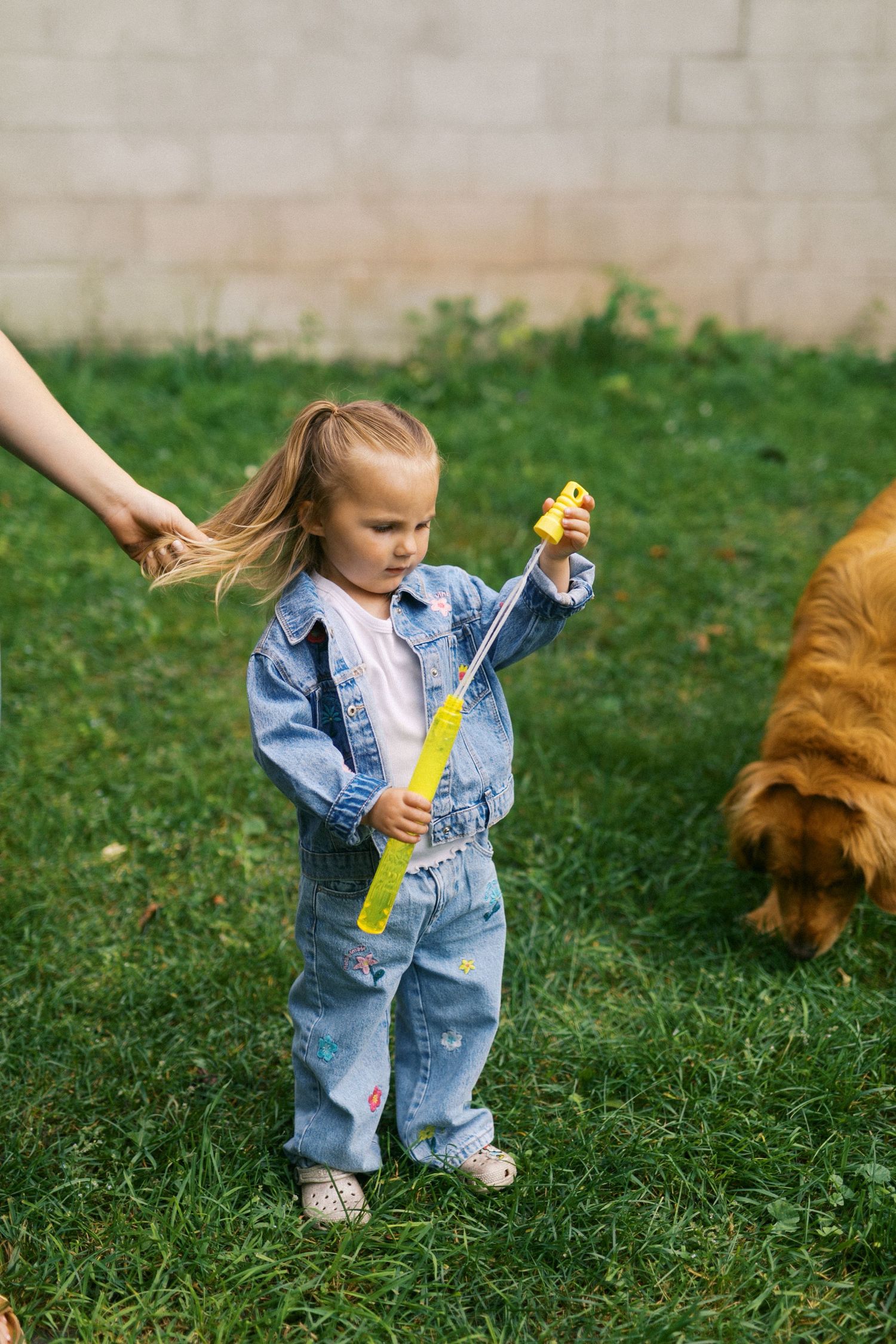 Toddler girl in denim outfit holding yellow measuring tape on green grass near golden retriever.
