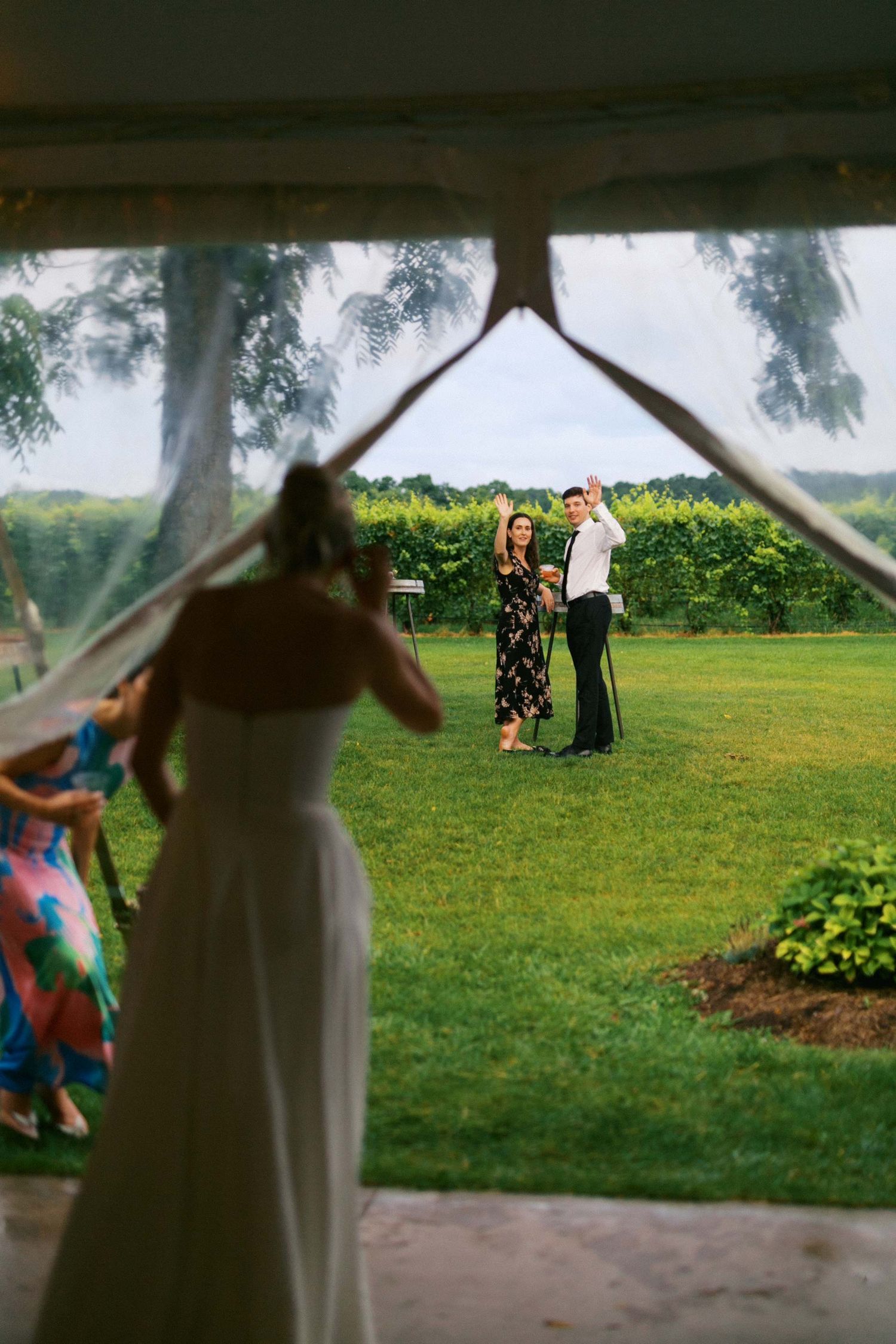 A series of candid shots taken through a window frame showing people gathering on a sunny green lawn.