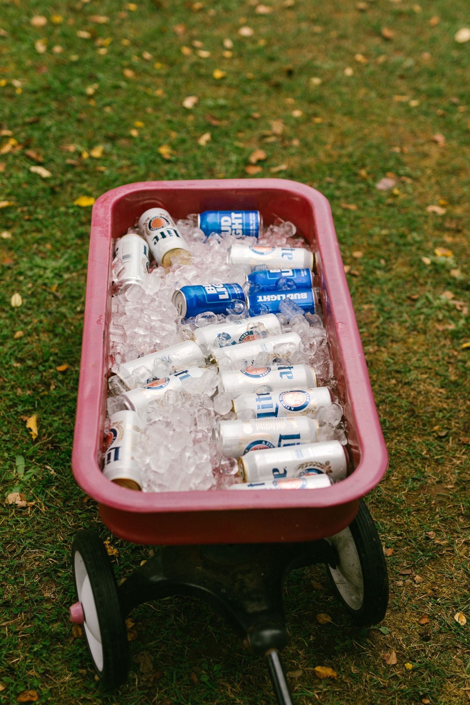 Ice cold cans of Bud Light beer chilling in a red wagon filled with ice on grassy ground.