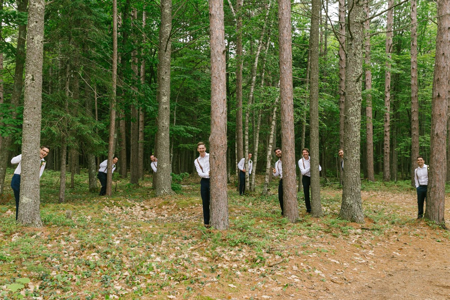 People in formal attire stand scattered among tall trees in a lush green forest setting.