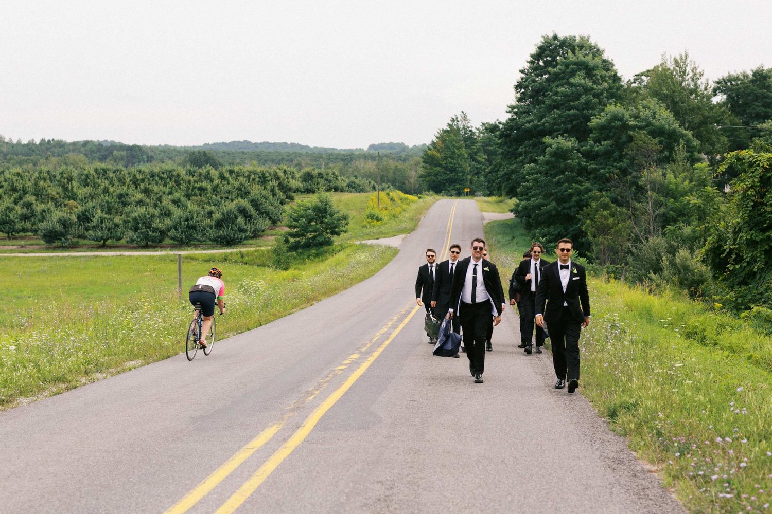 A group of people walking along a rural road surrounded by green fields and trees on a sunny day.