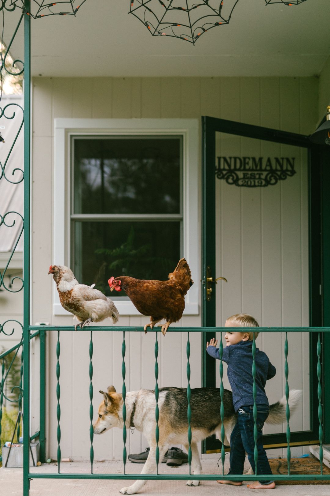 A toddler stands on a porch railing beside a husky dog and two chickens at the Lindemann home.